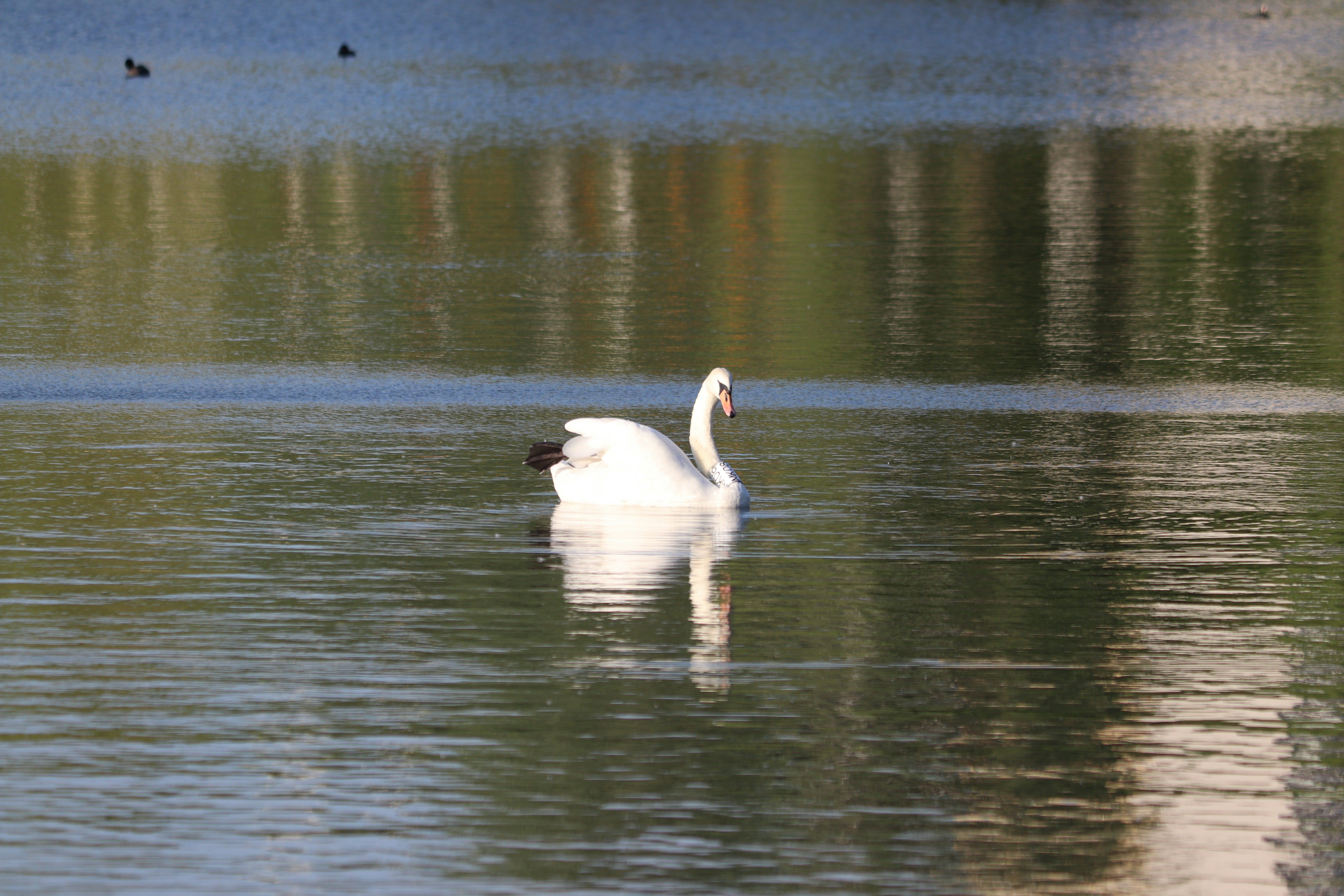 Photo by fotografialuivlad