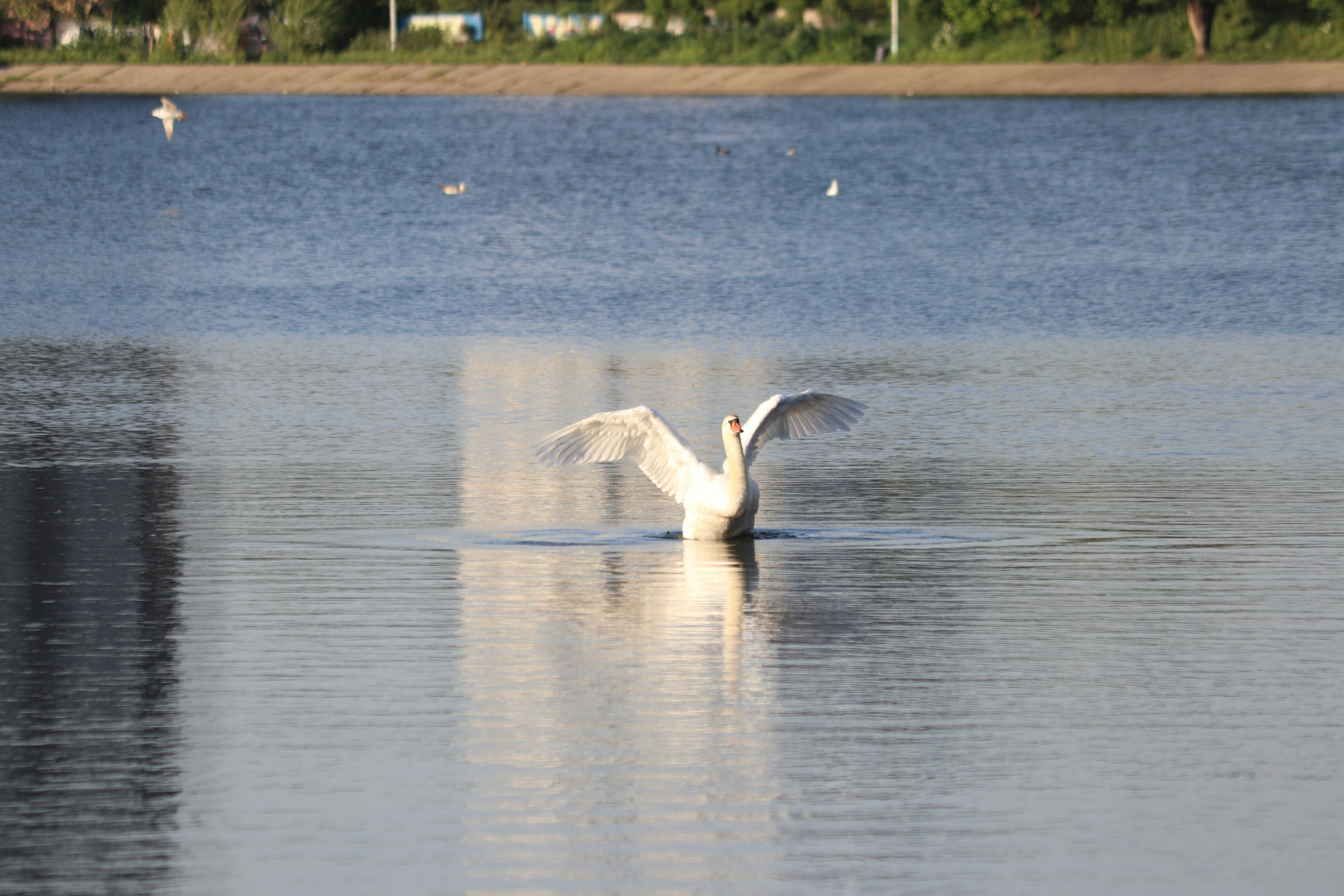 Photo by fotografialuivlad