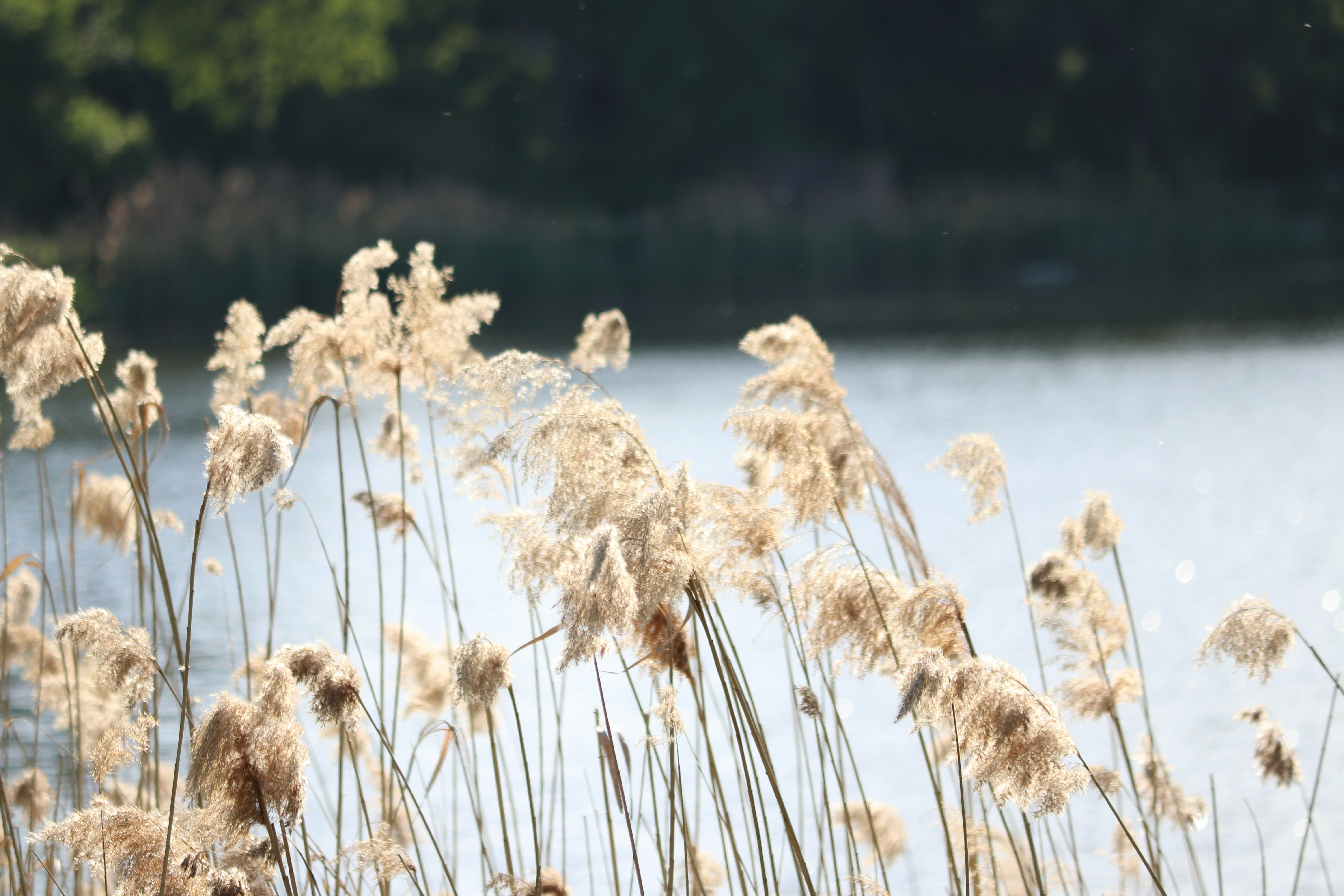 Photo by fotografialuivlad