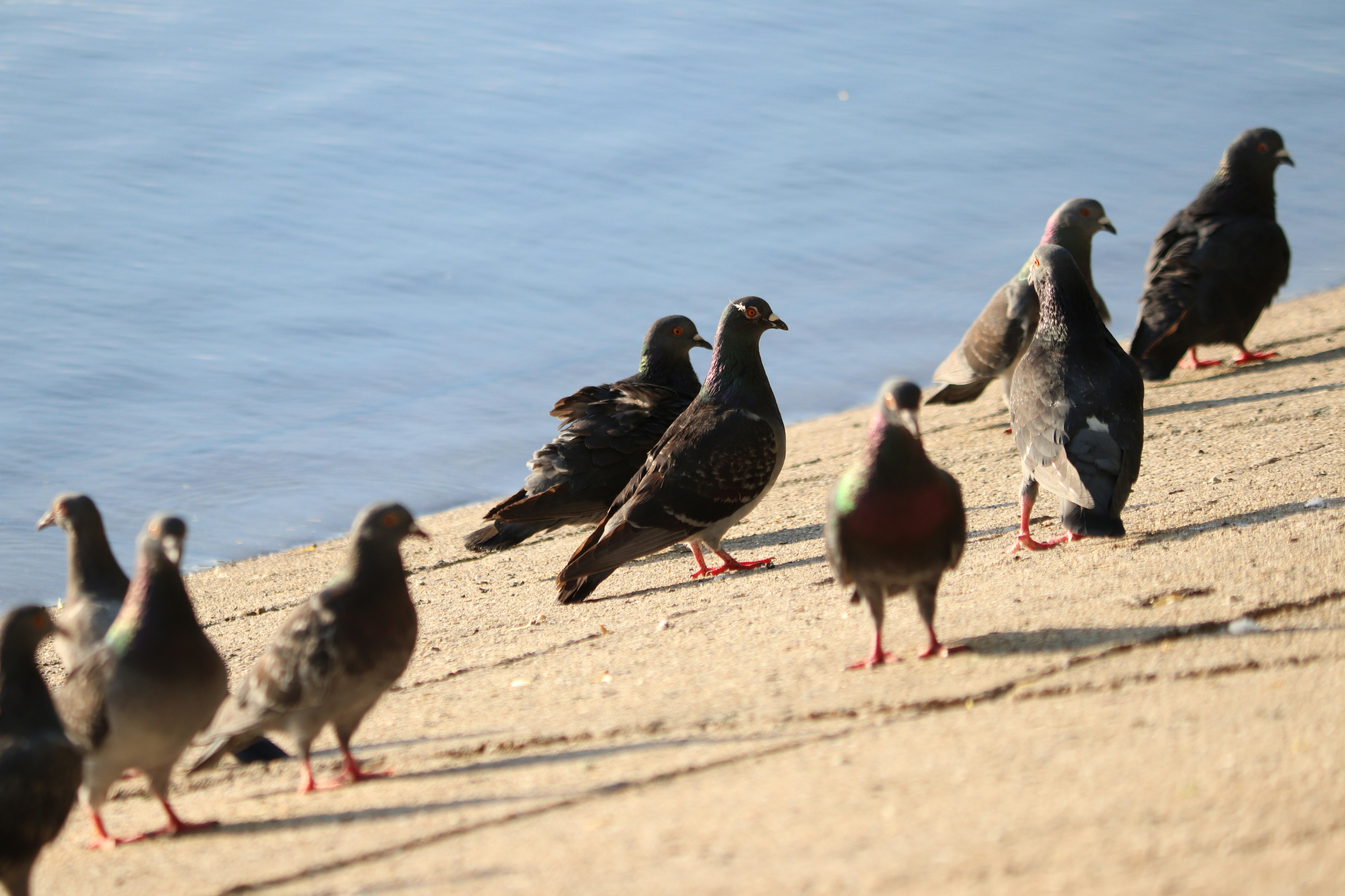 Photo by fotografialuivlad