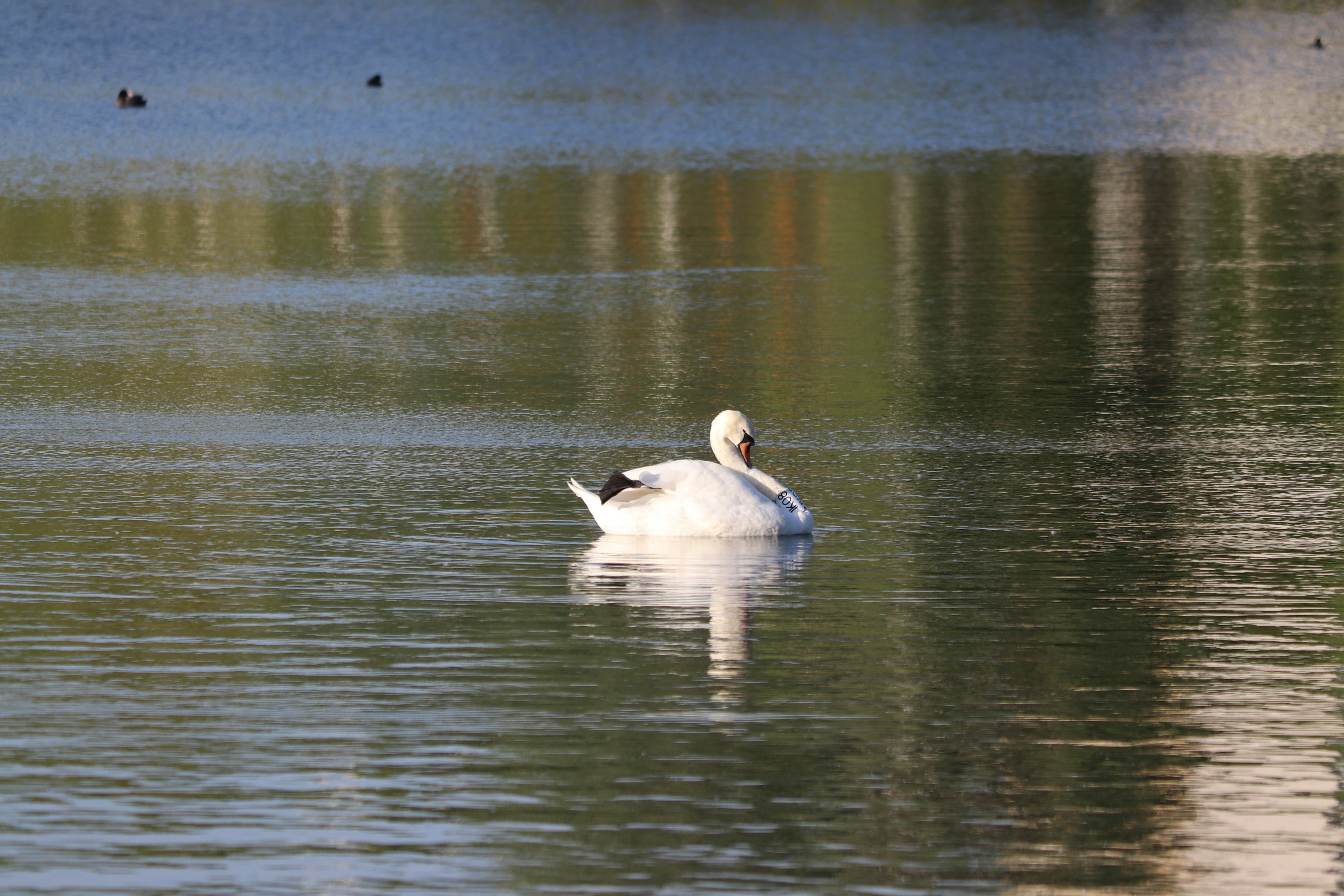 Photo by fotografialuivlad