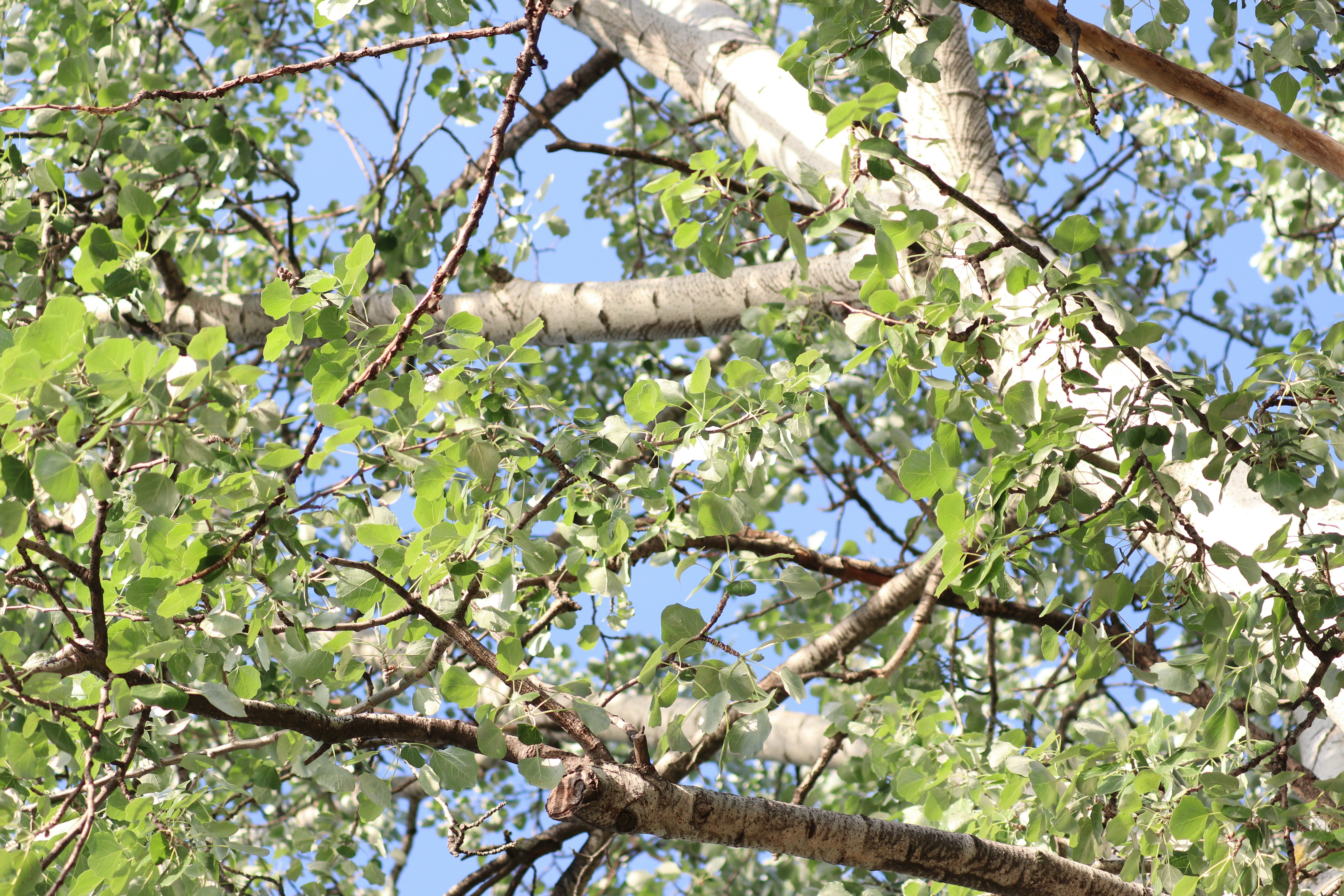 Photo by fotografialuivlad