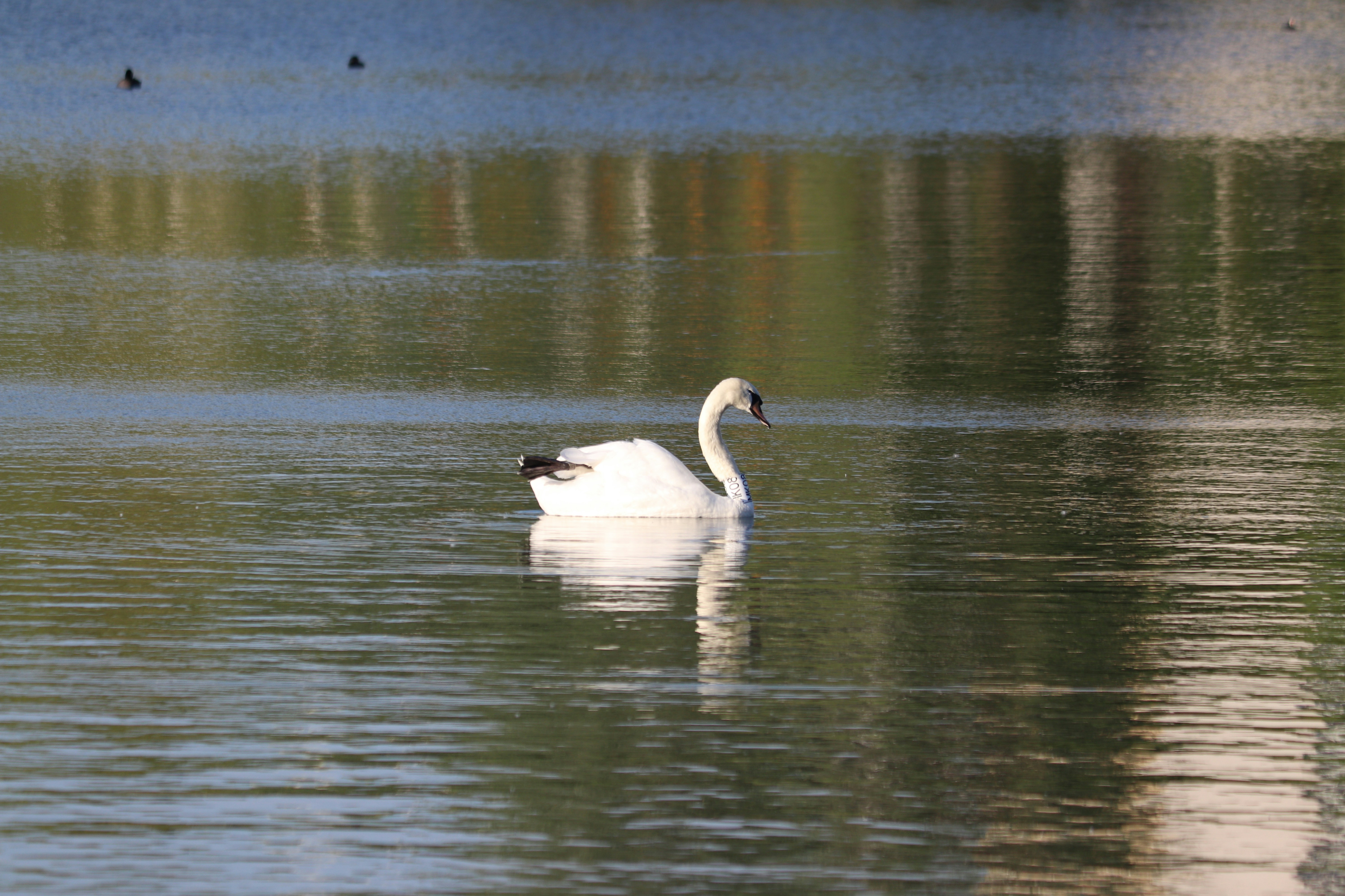 Photo by fotografialuivlad