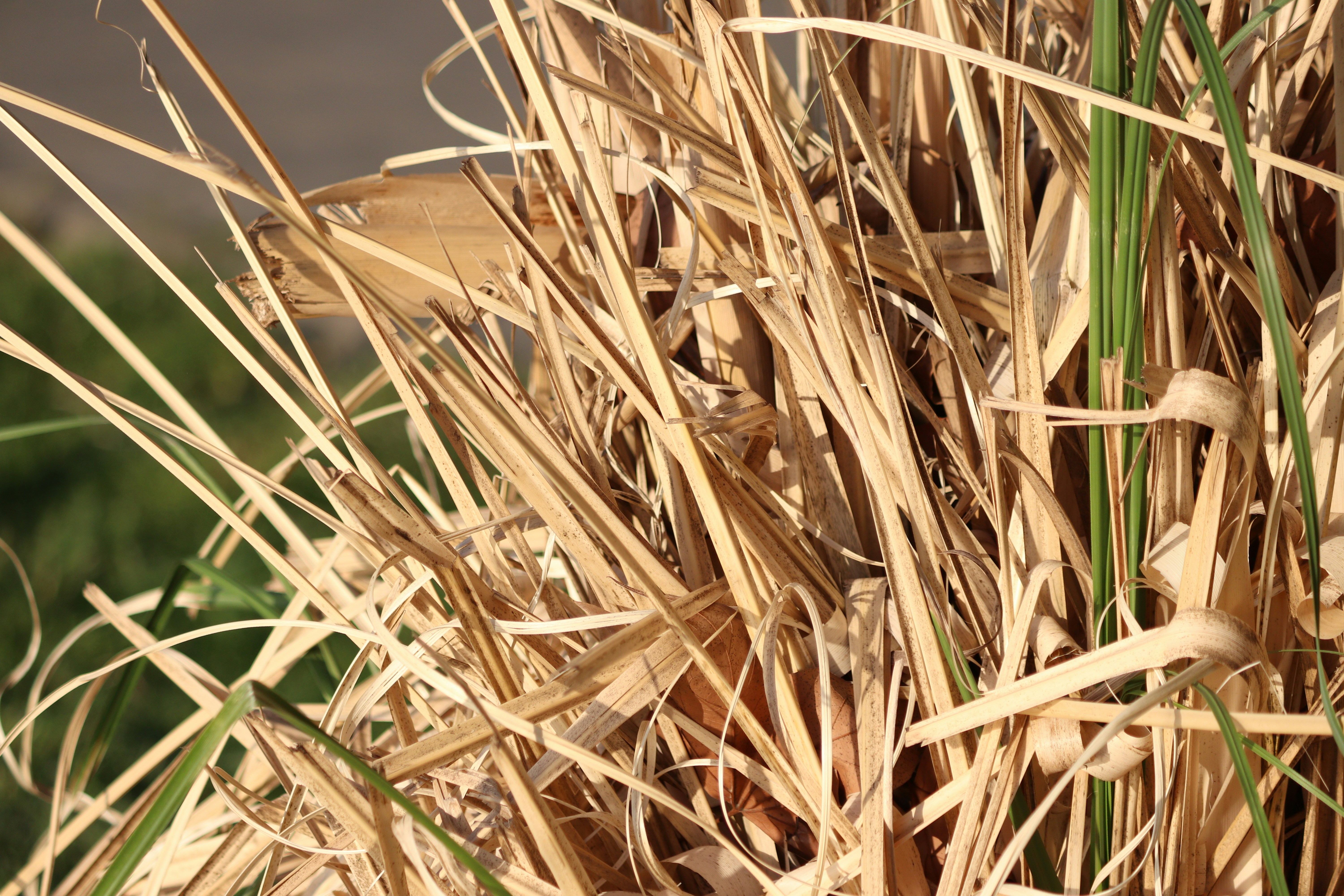 Photo by fotografialuivlad