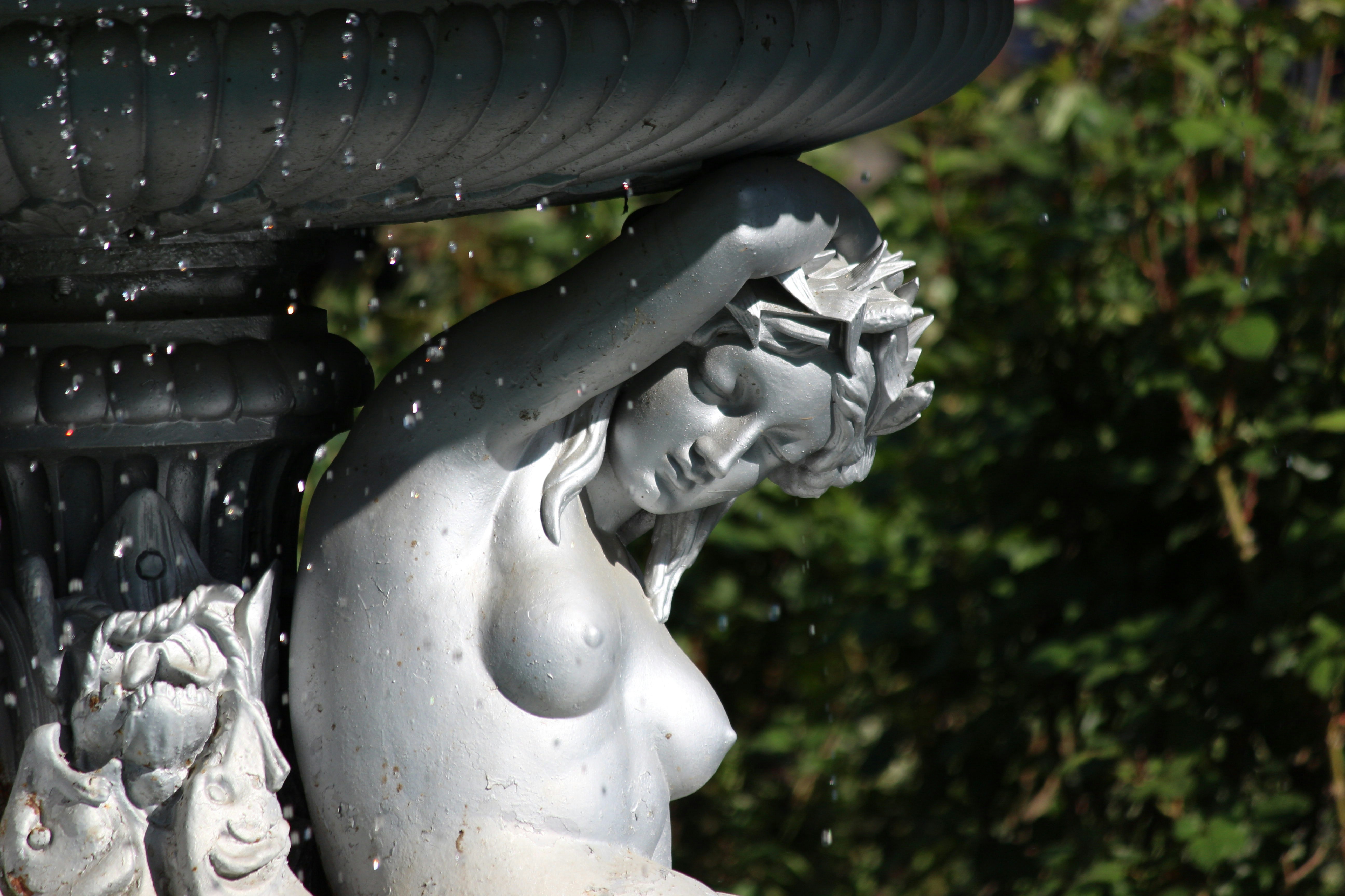 Photo by fotografialuivlad