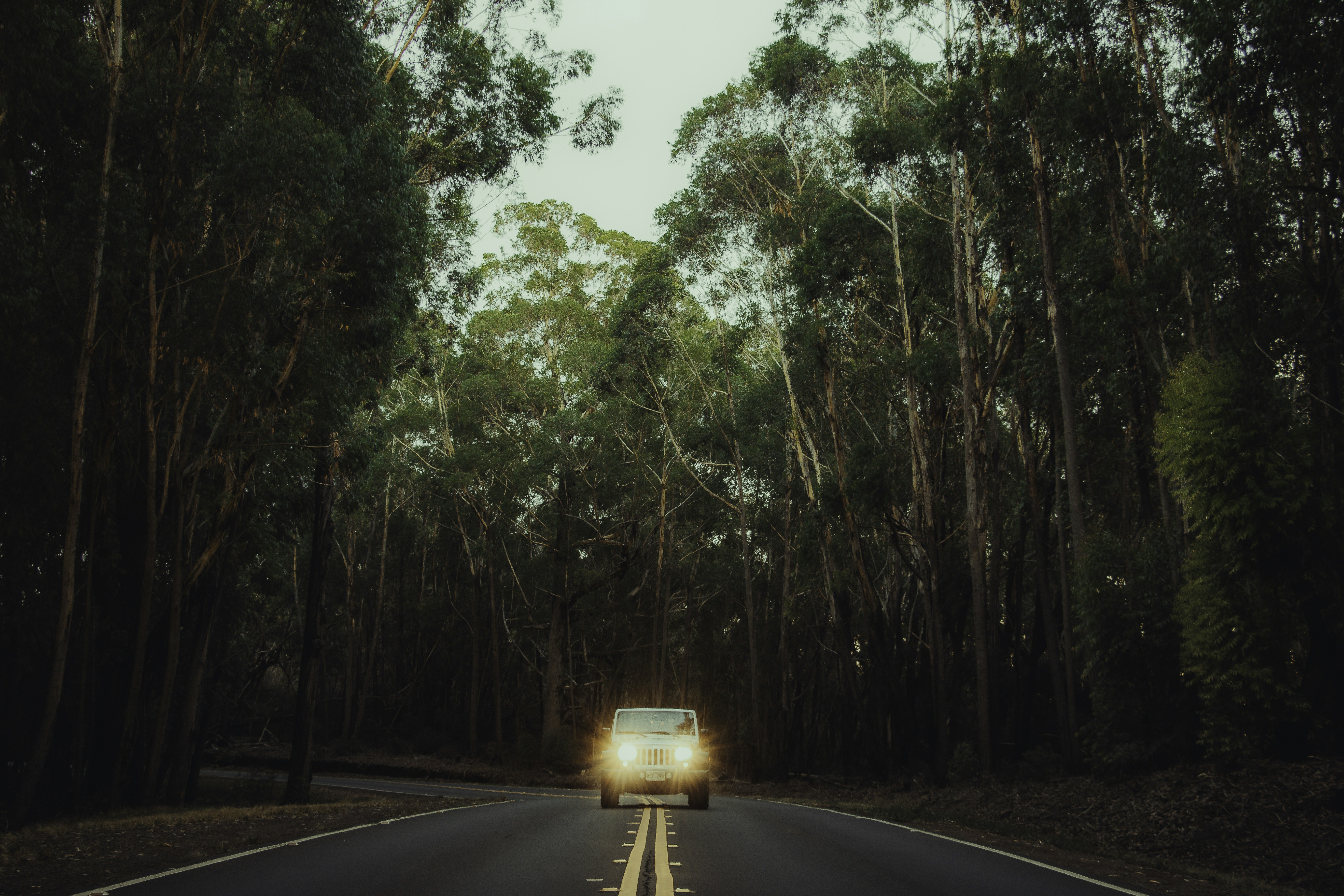 Photo by matthewryanstephenson