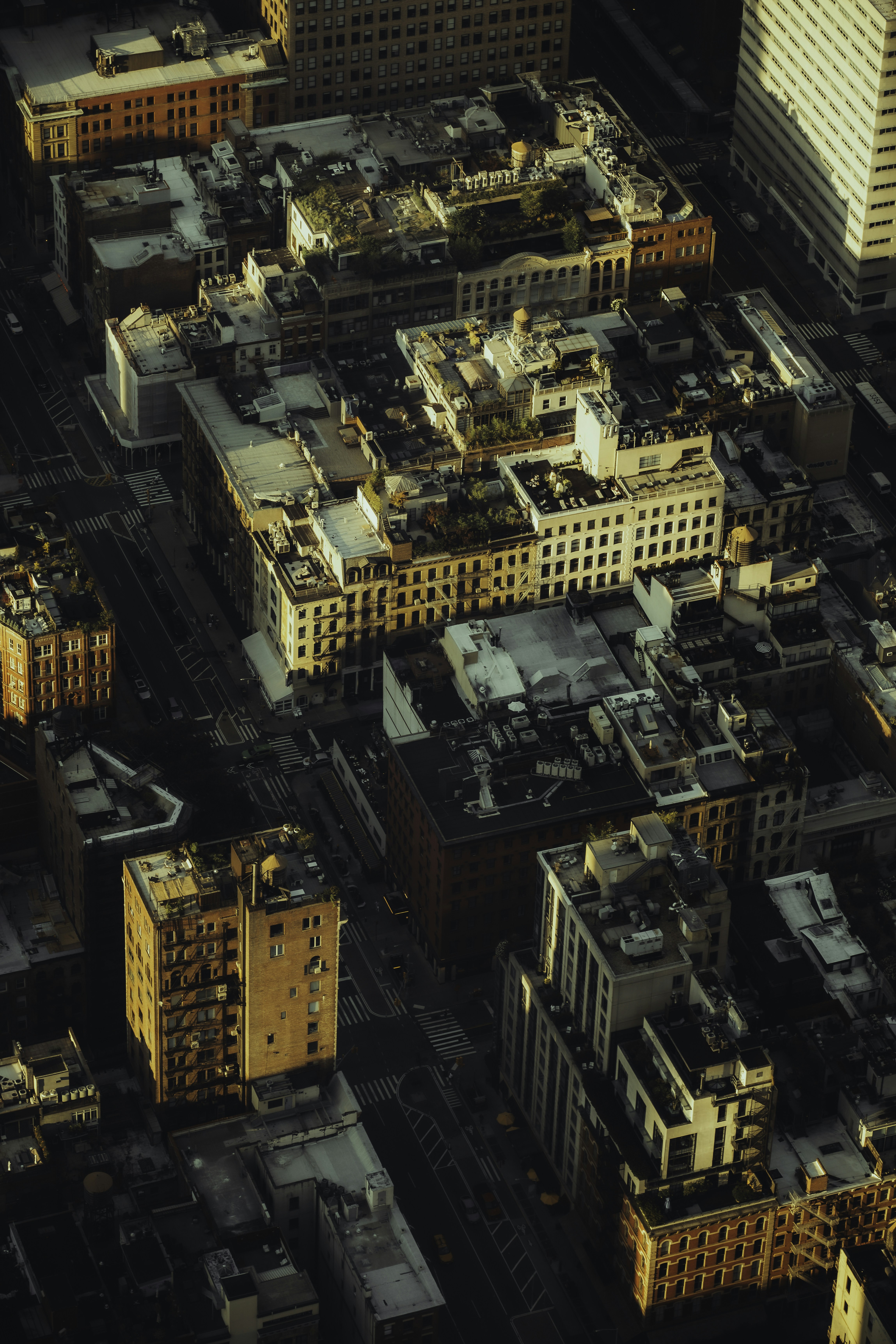 Photo by matthewryanstephenson