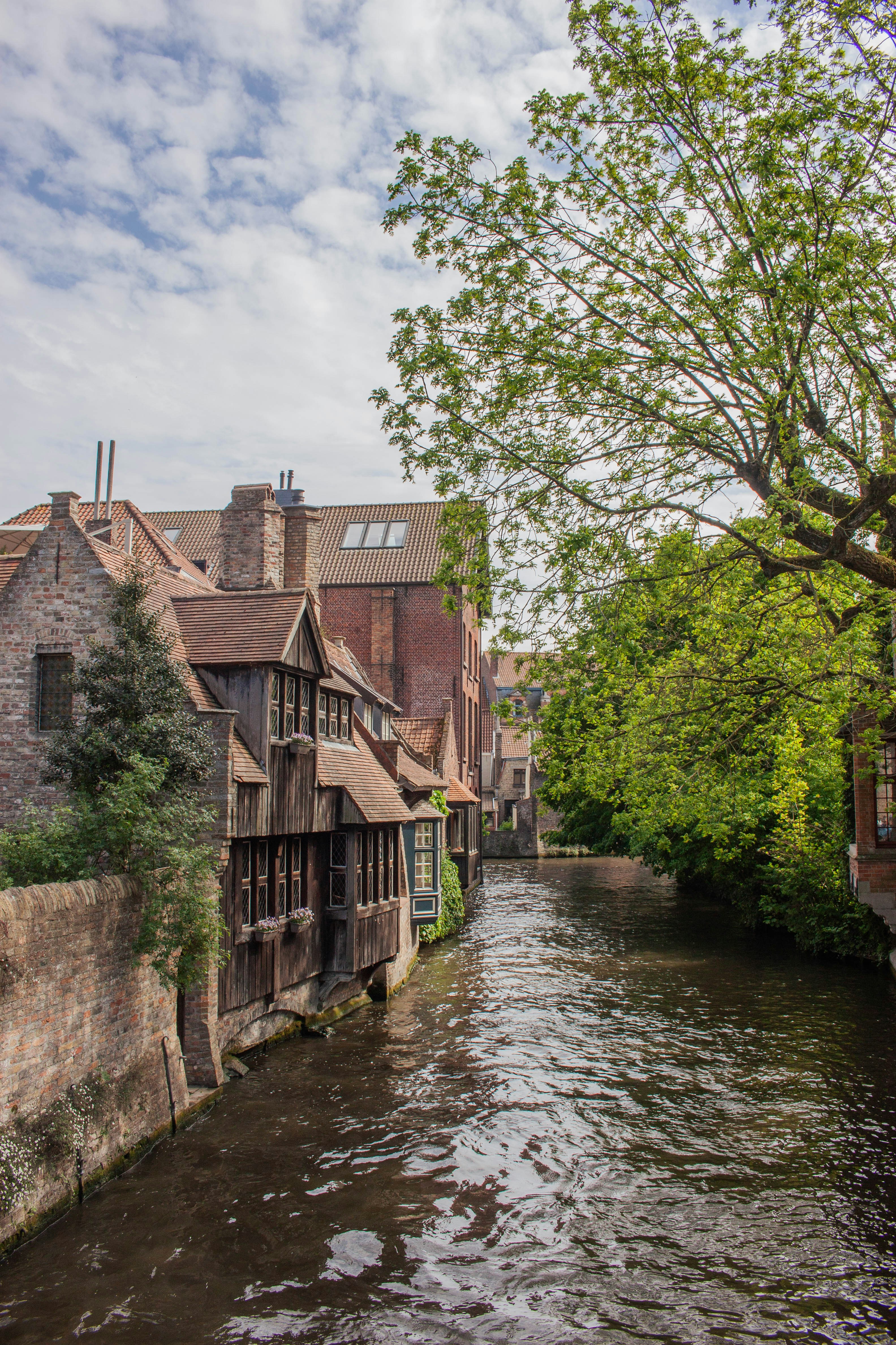 Photo by kamillaisalieva