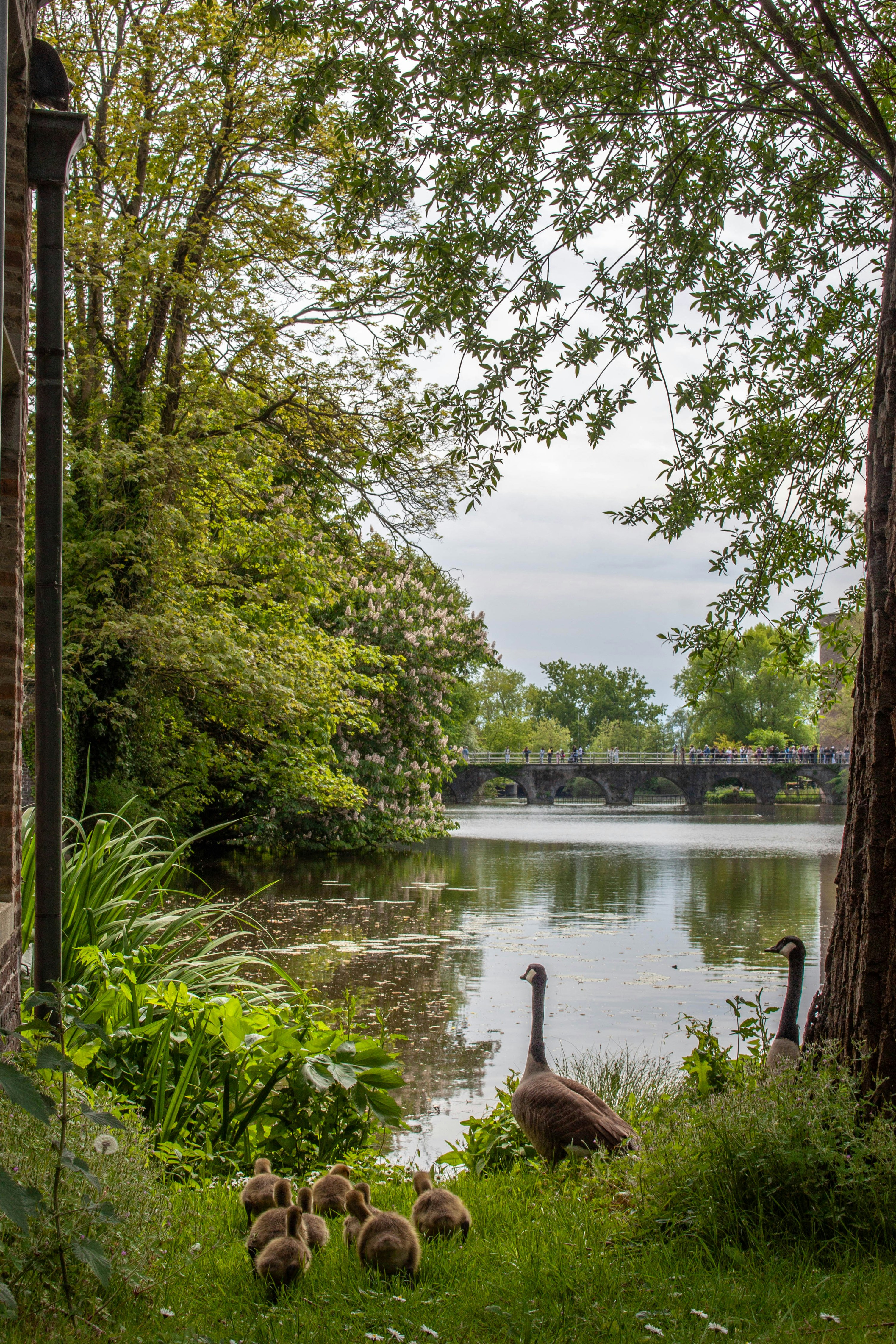 Photo by kamillaisalieva