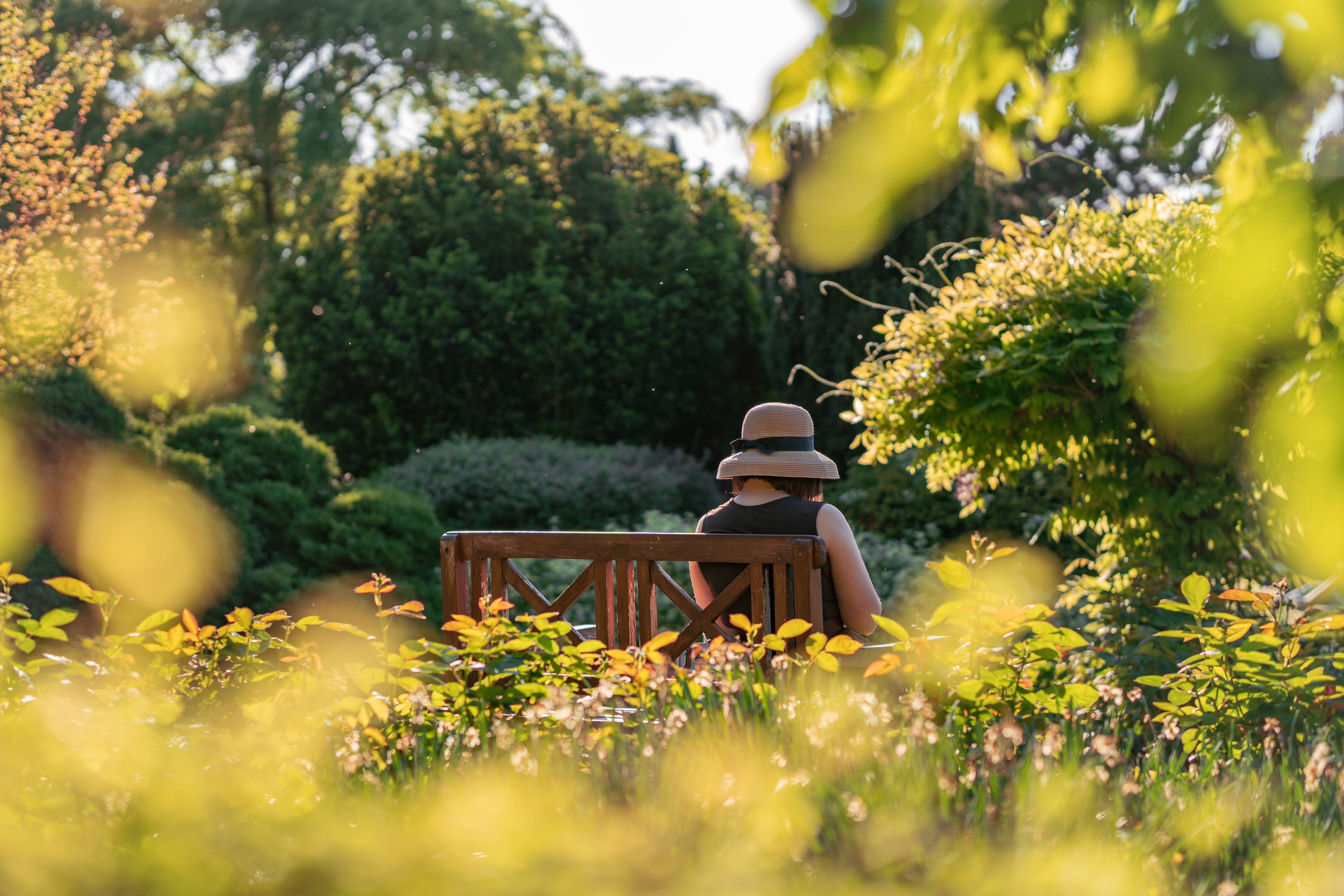 A person sits on a bench in a garden.
