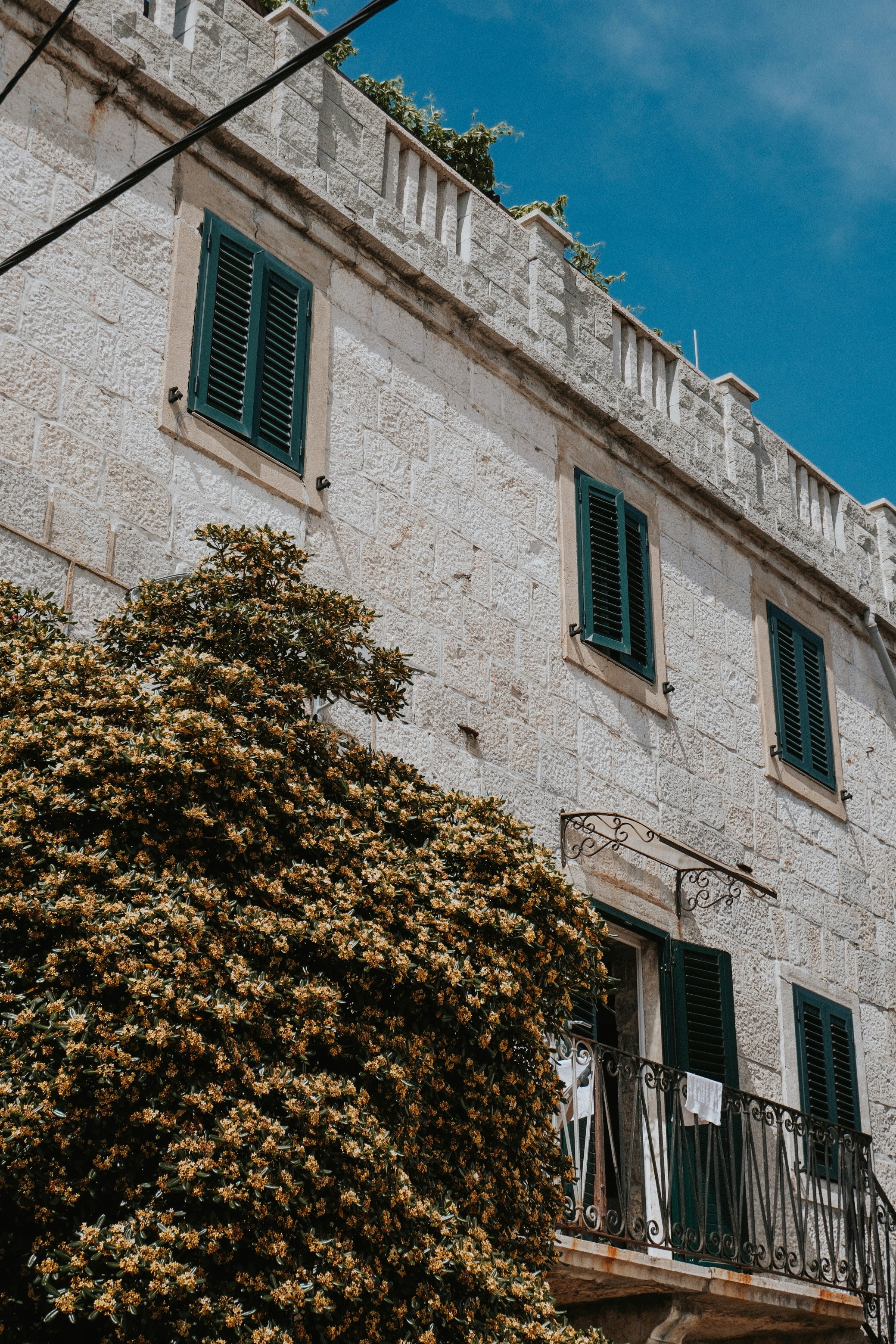 Photo by manca_cadez