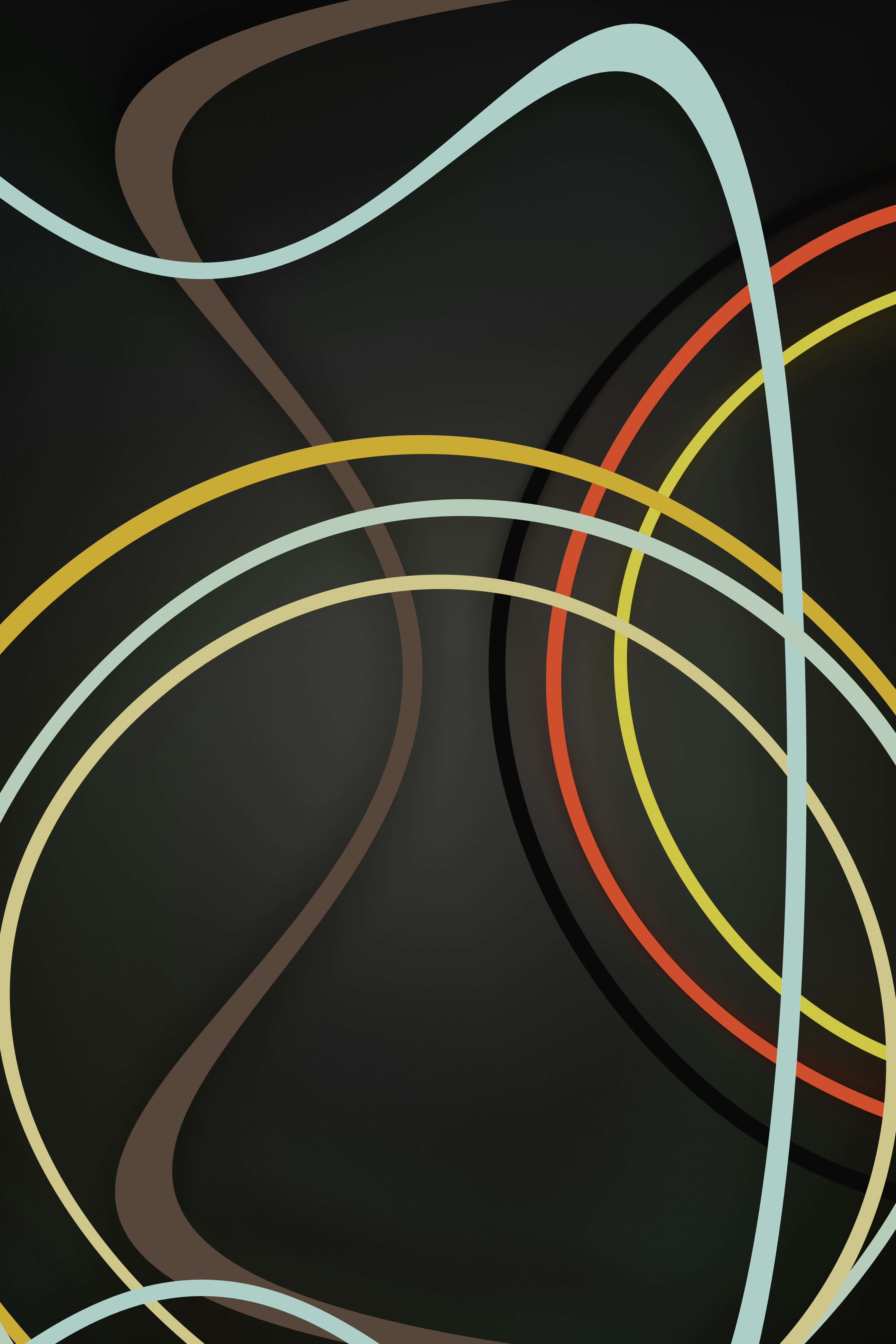 Photo by blenderdesigner