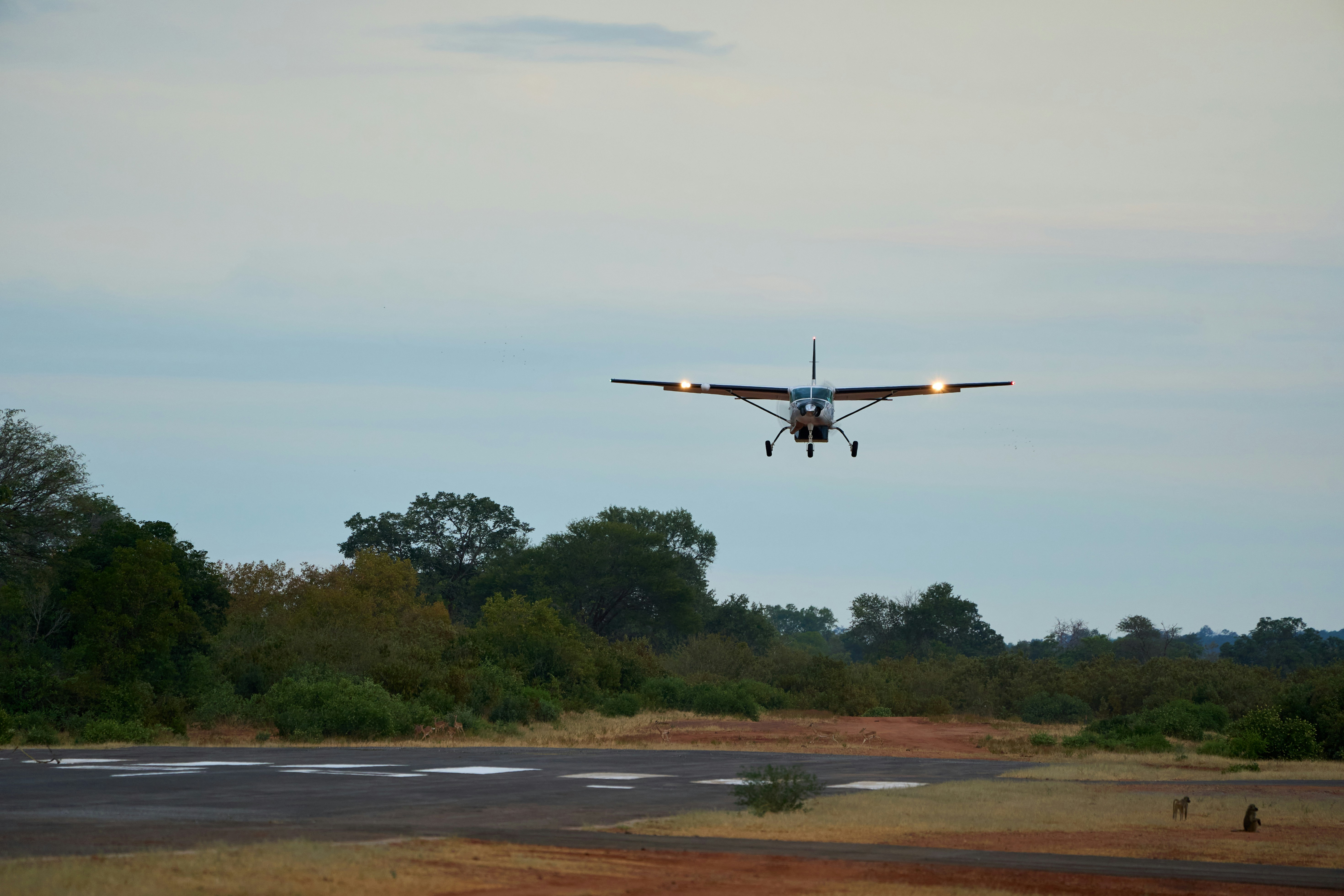 Plane preparing to land at dusk.
