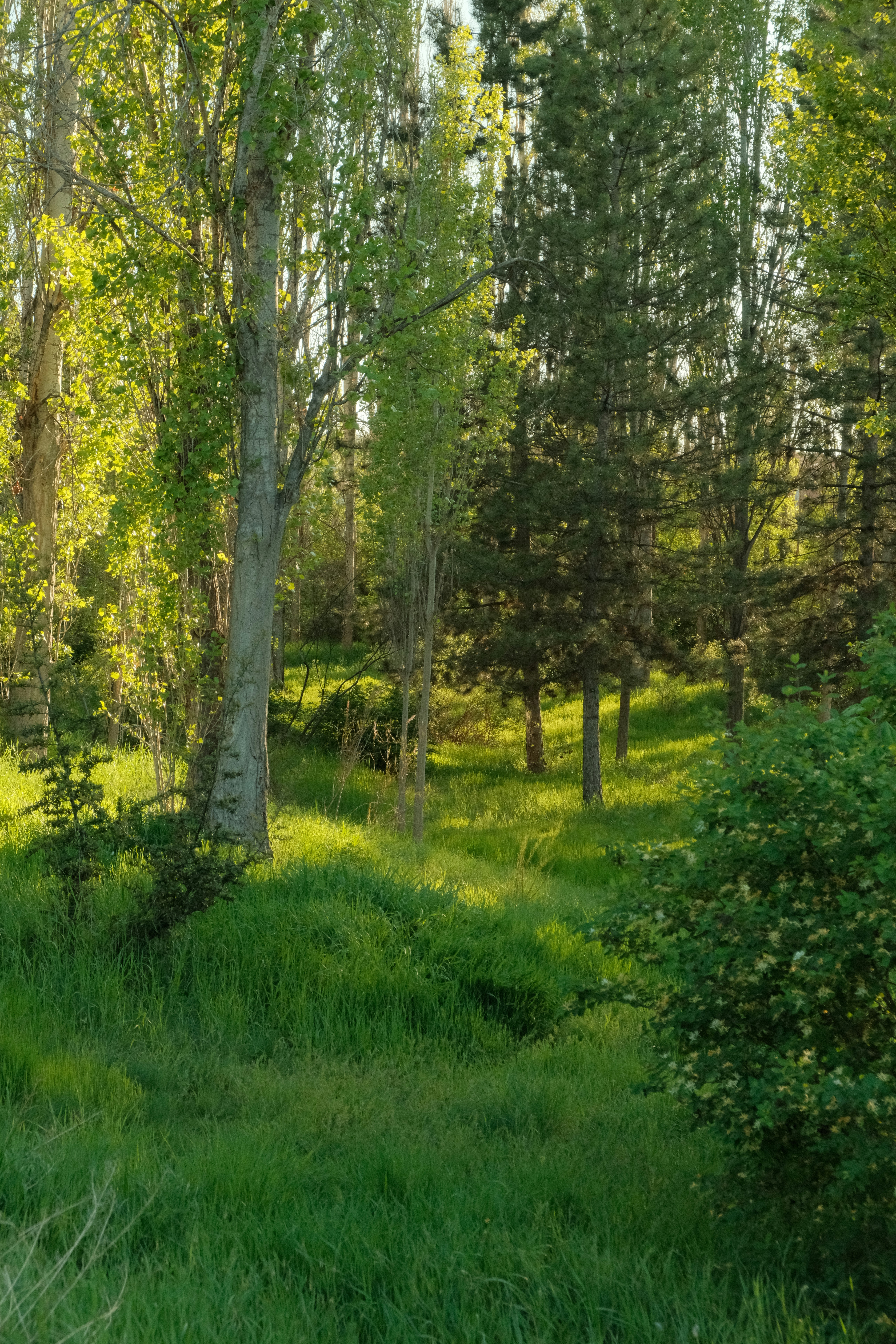 Photo by ismailefetop