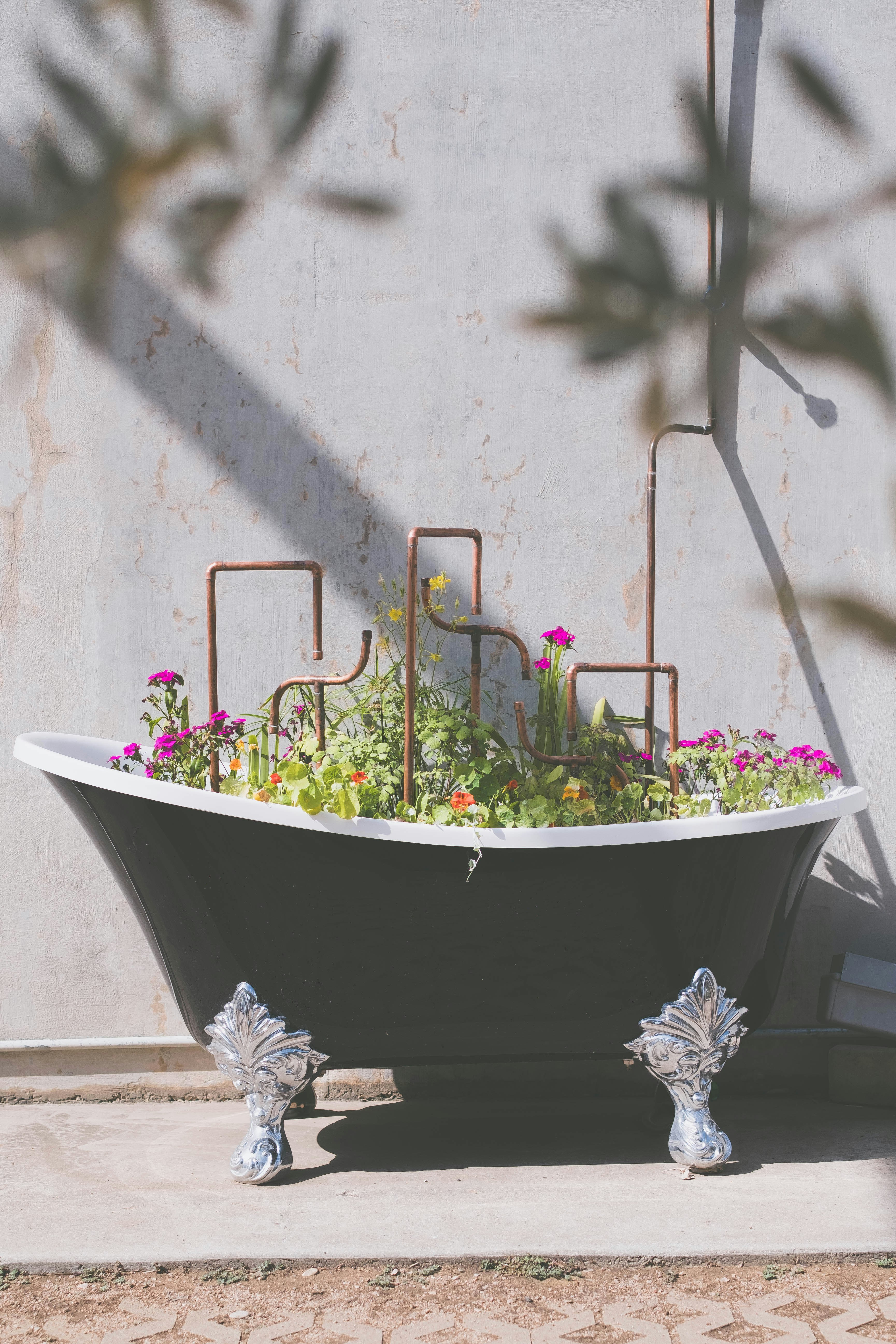 Flowers and greenery grow in an old bathtub.