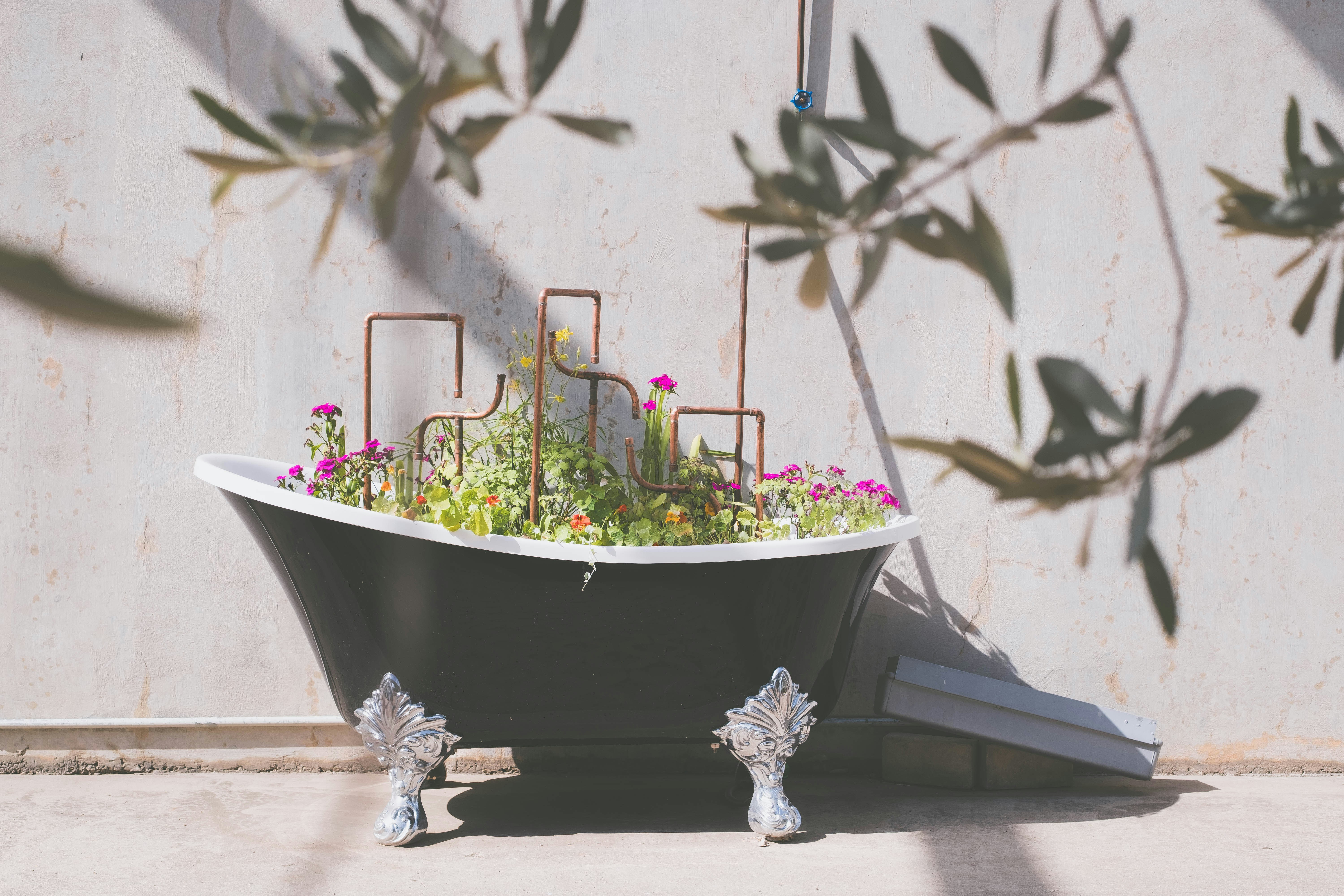 Bathtub repurposed as a unique planter.