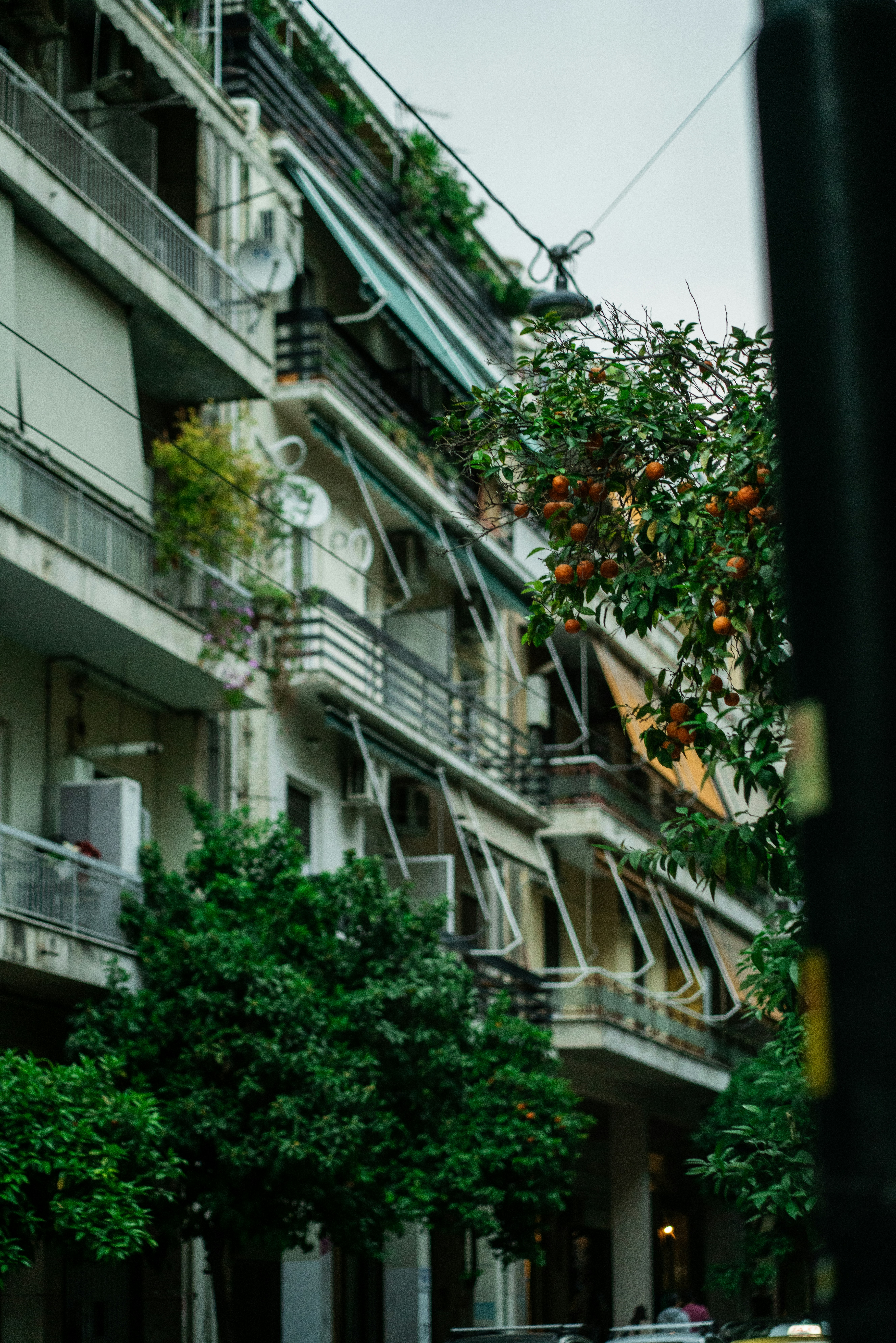 Balcones de apartamentos con vegetación y toldos.