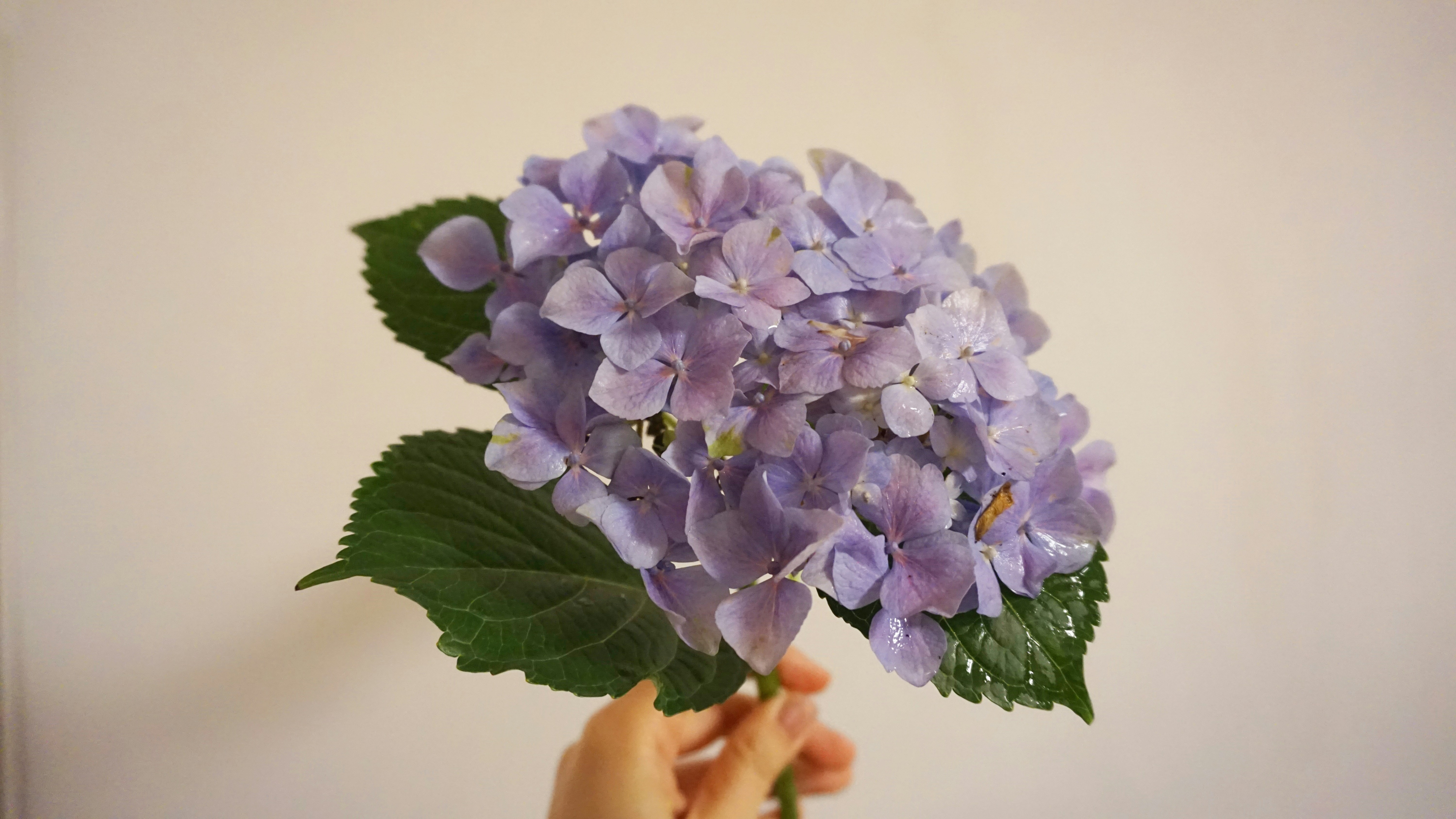 Photo by miah_42