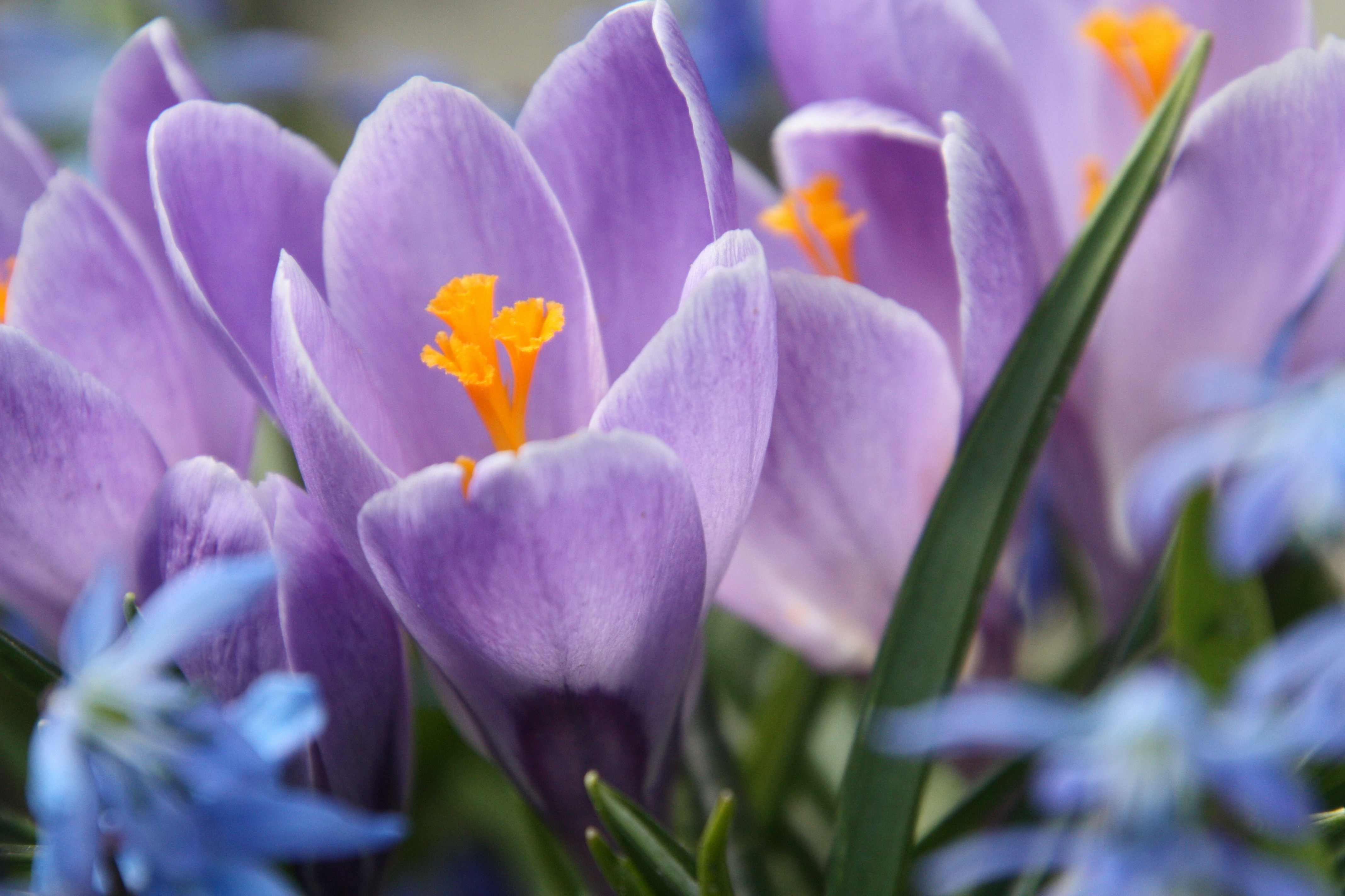 Photo by anthonyaird