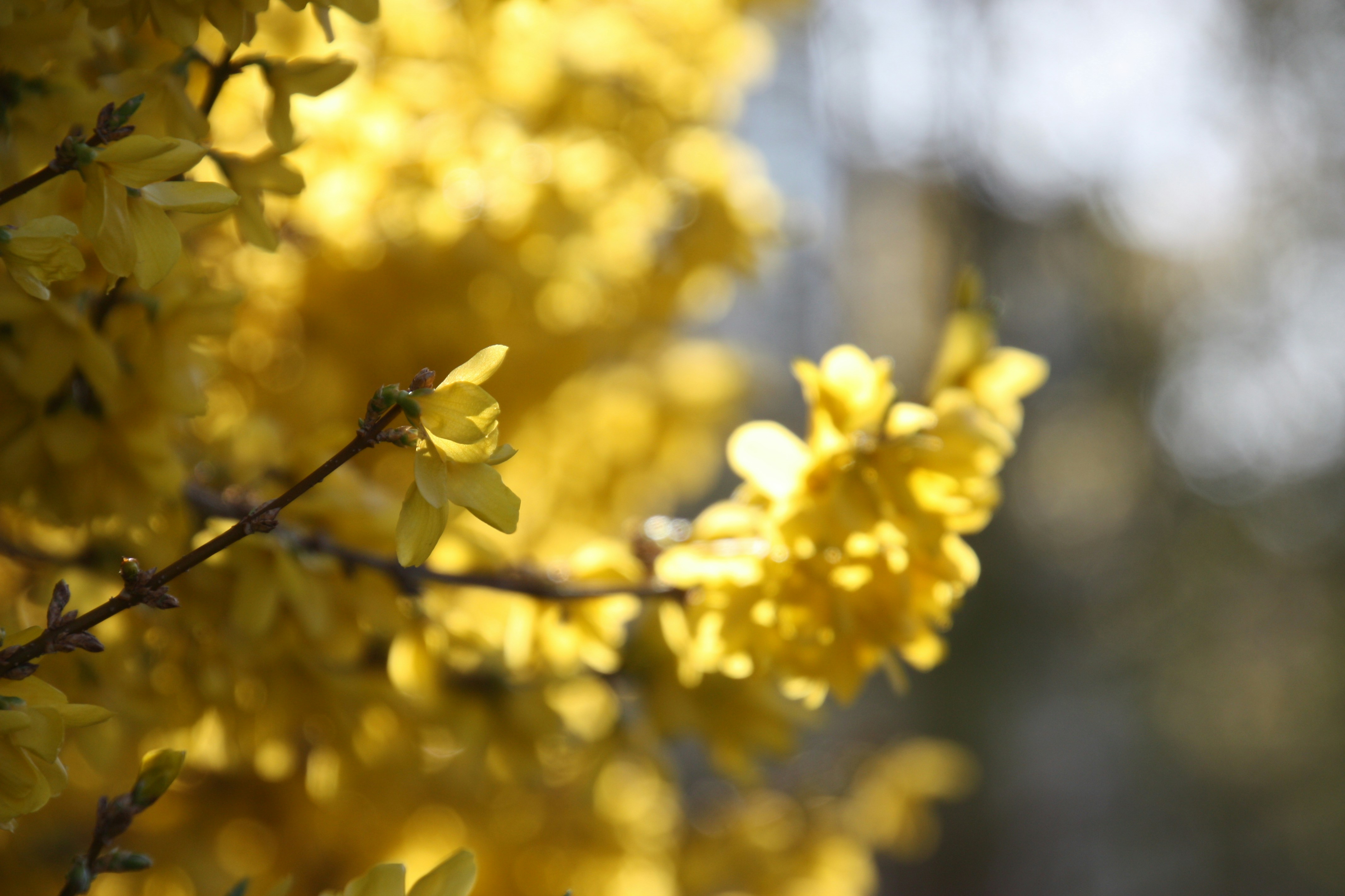 Photo by anthonyaird