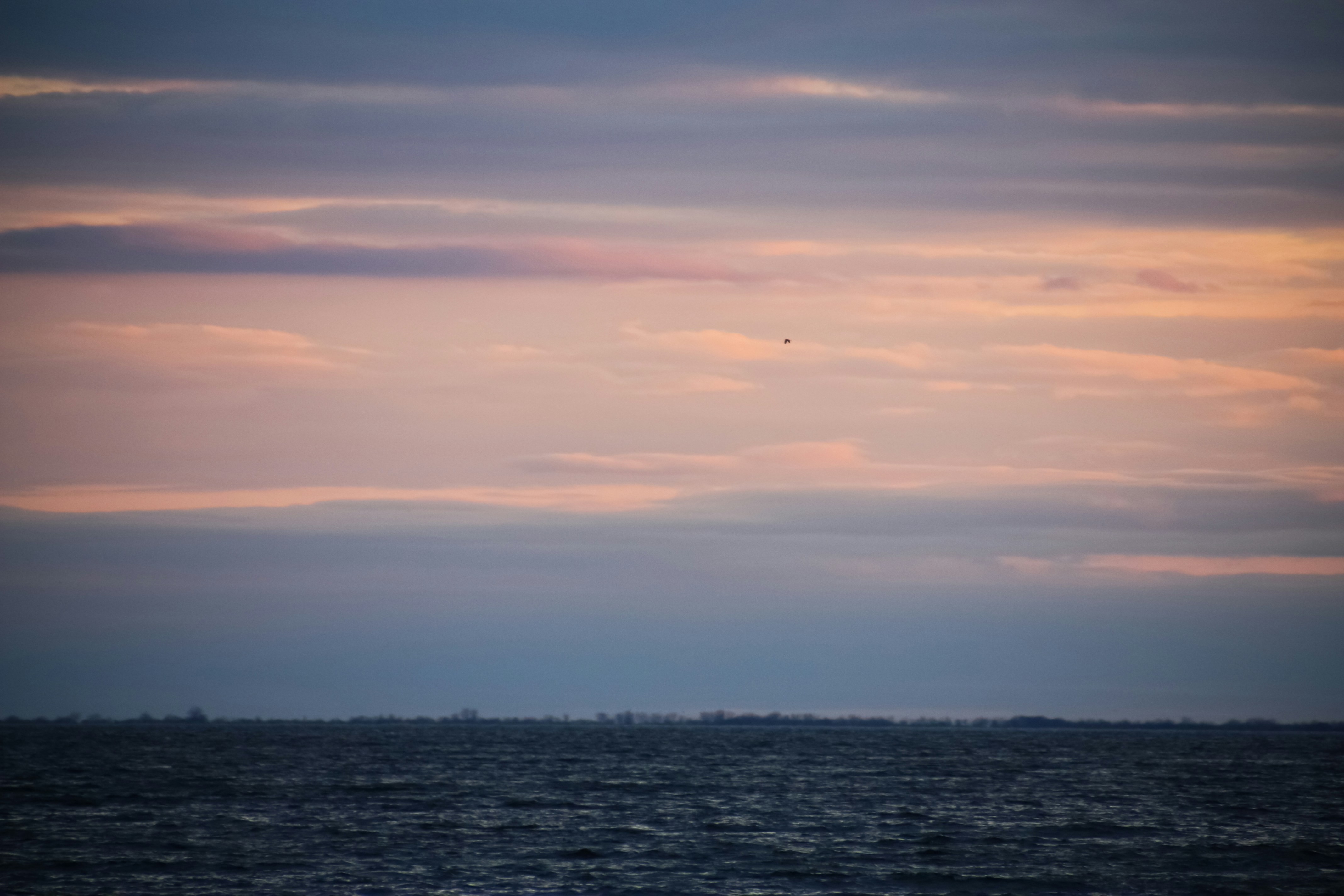 Photo by anthonyaird