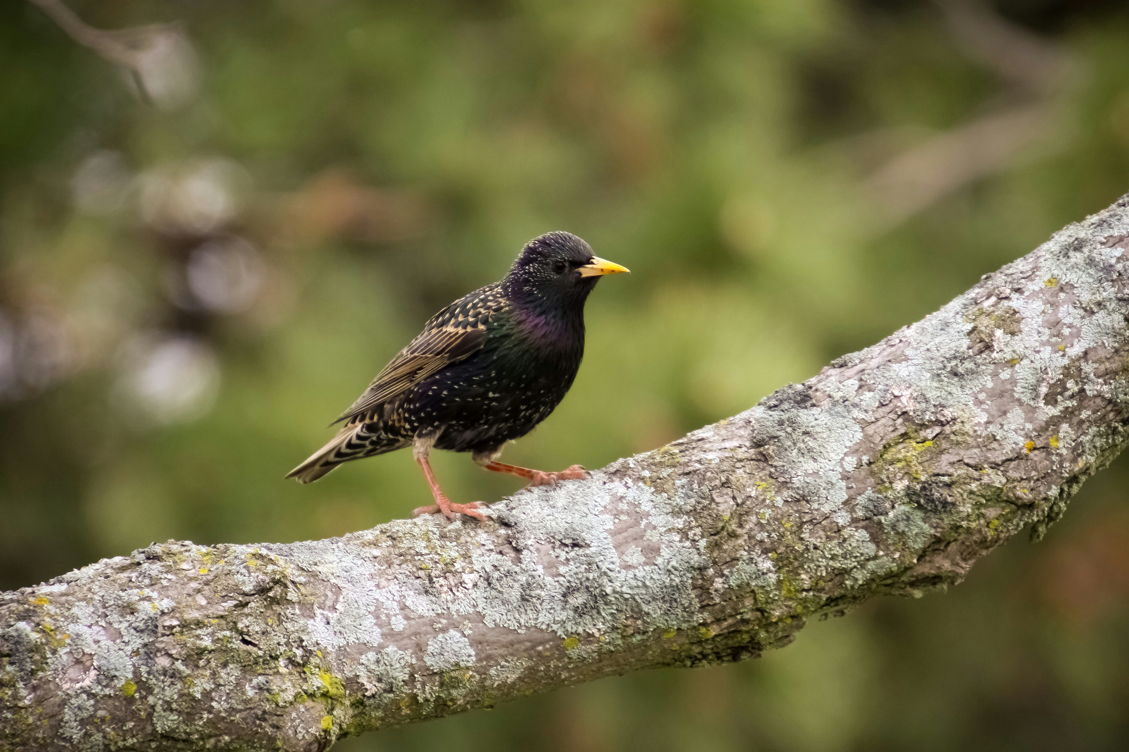 Photo by anthonyaird