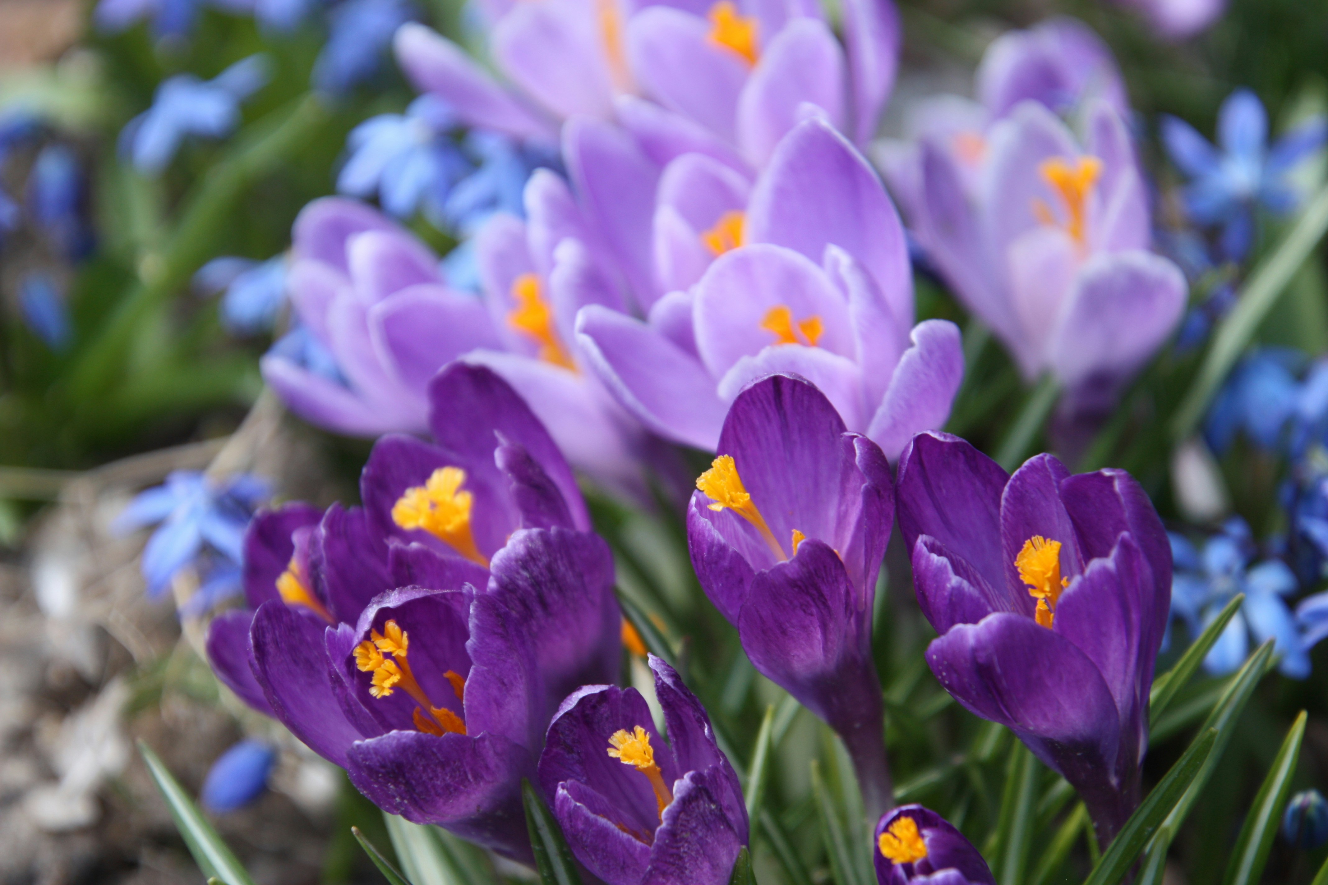 Photo by anthonyaird