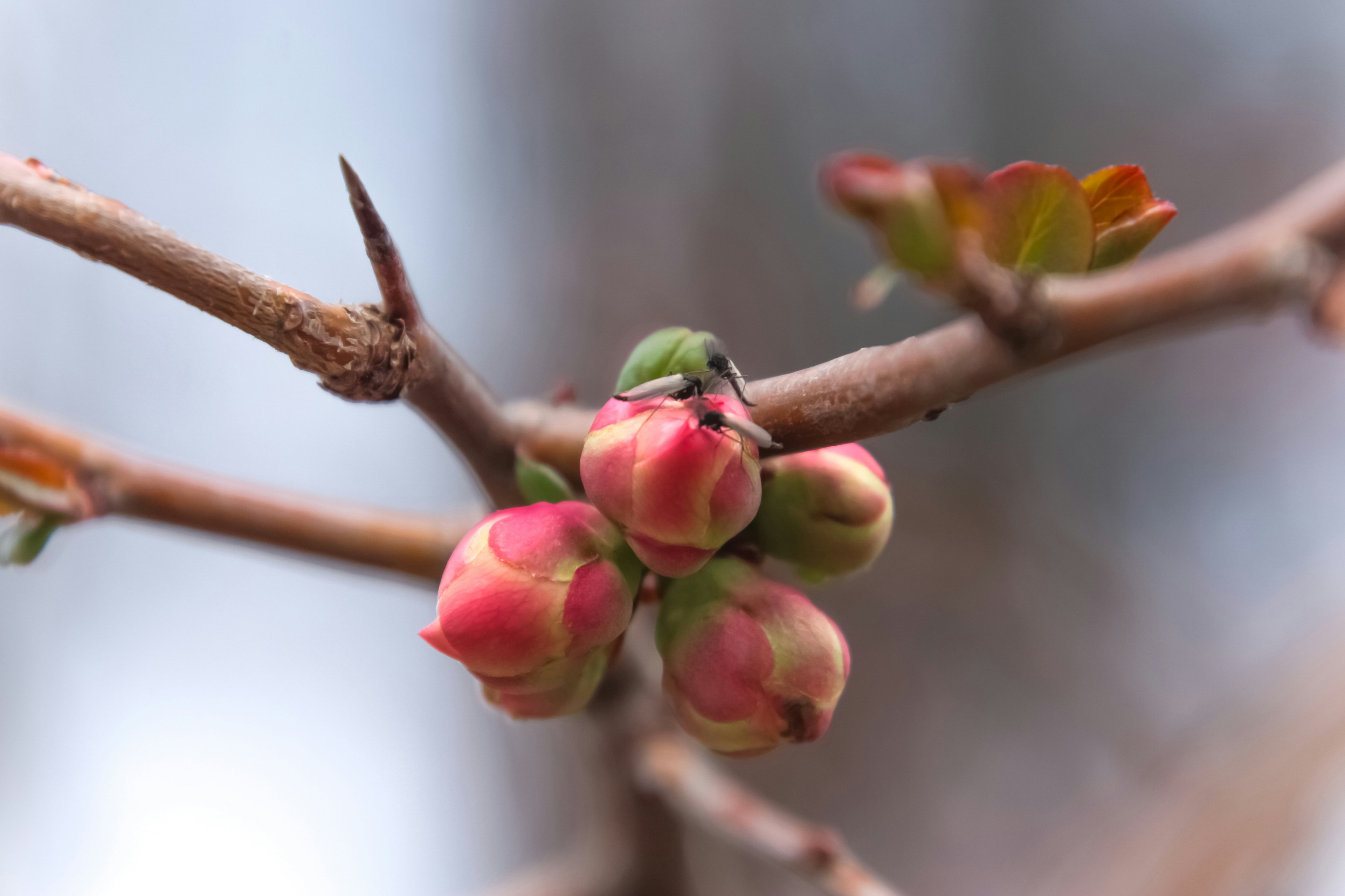 Photo by anthonyaird