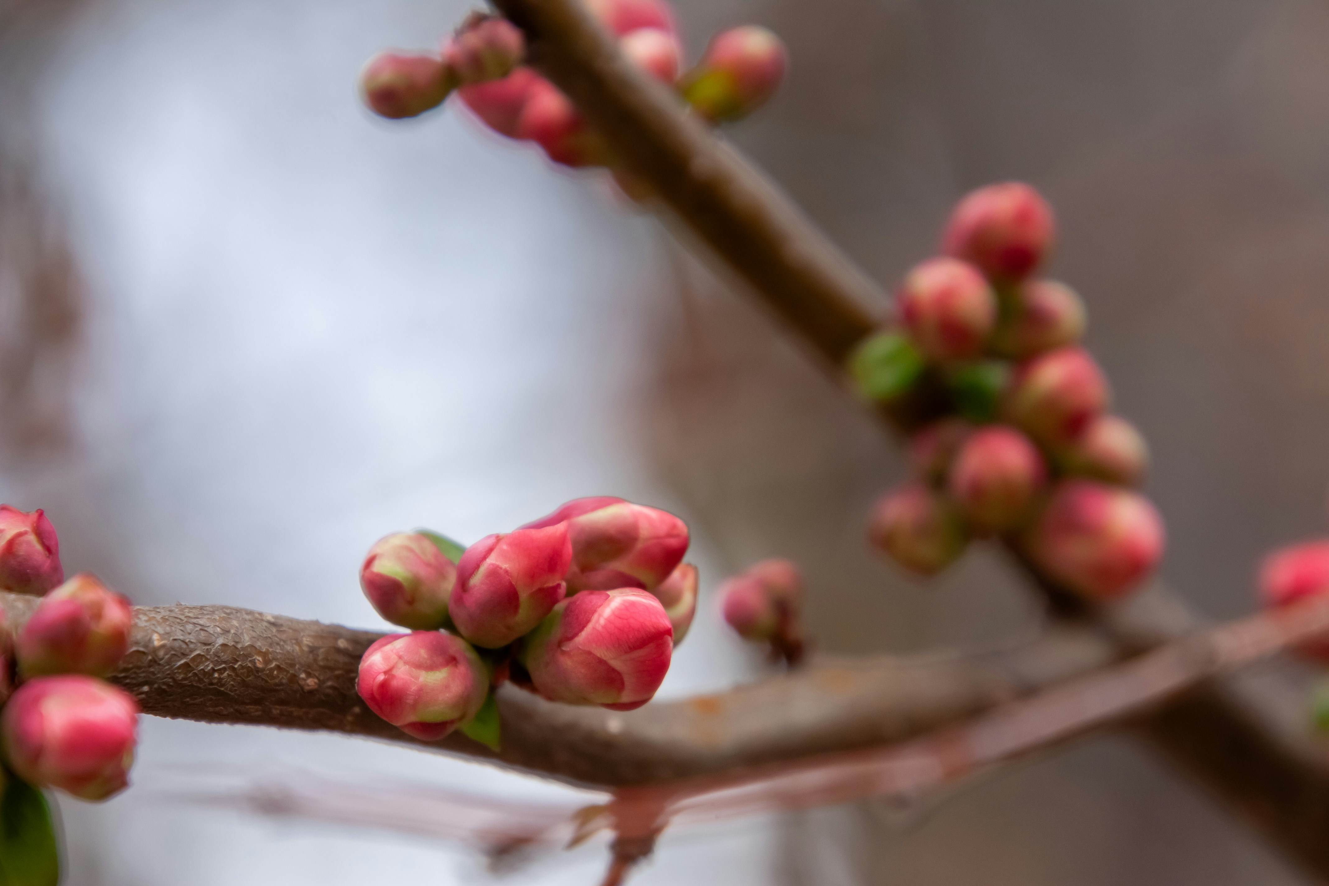 Photo by anthonyaird