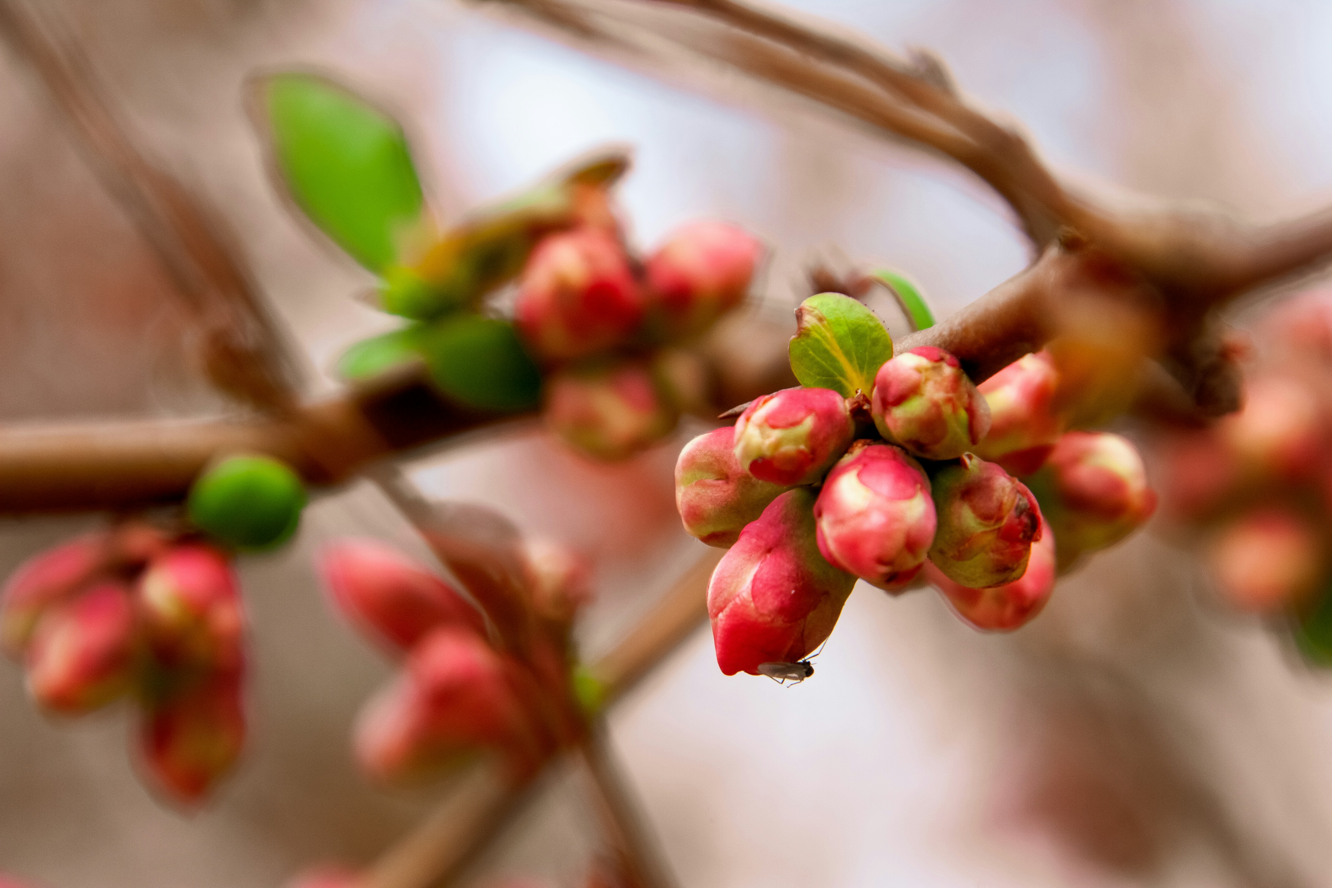 Photo by anthonyaird