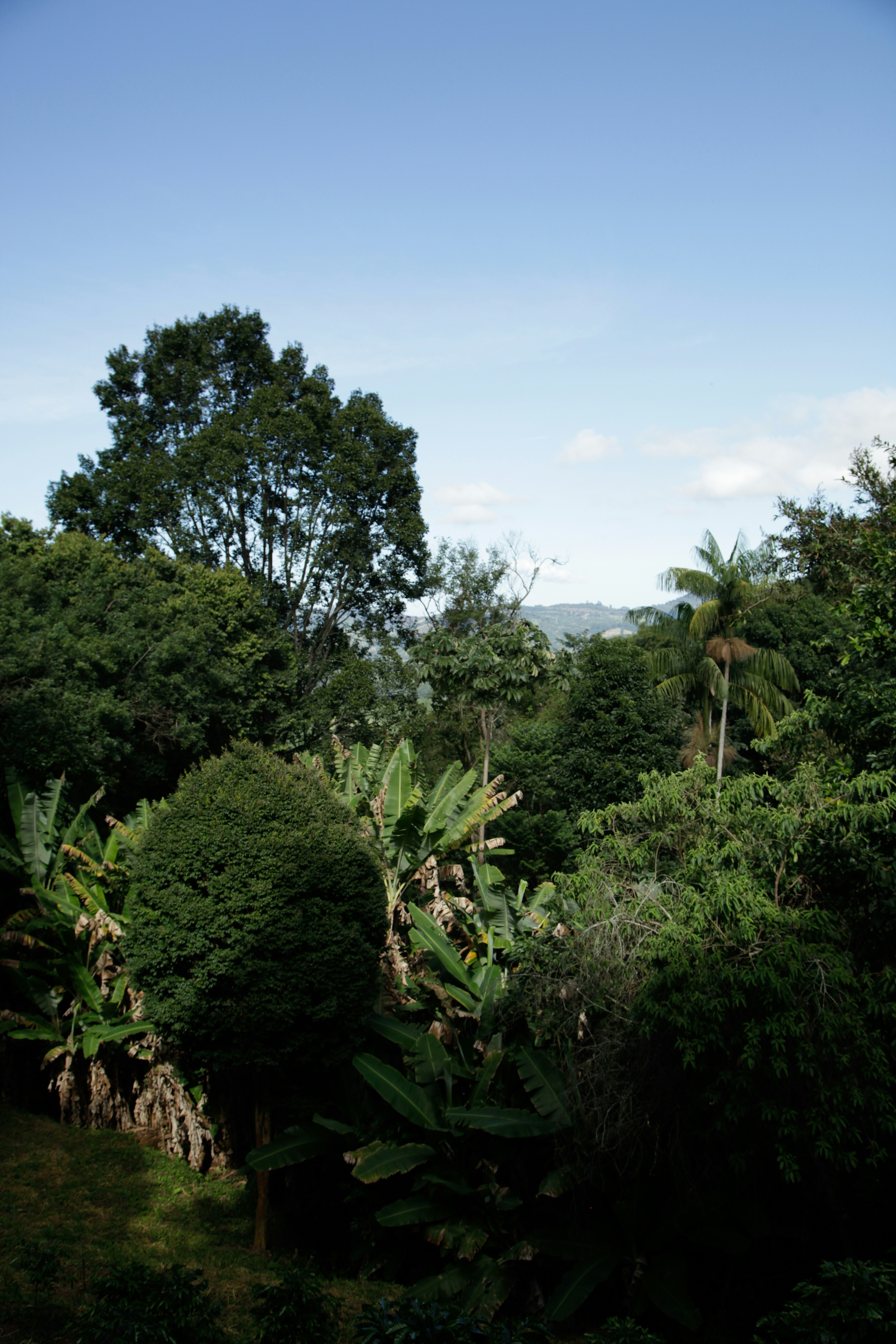 Photo by projetocafegatomourisco