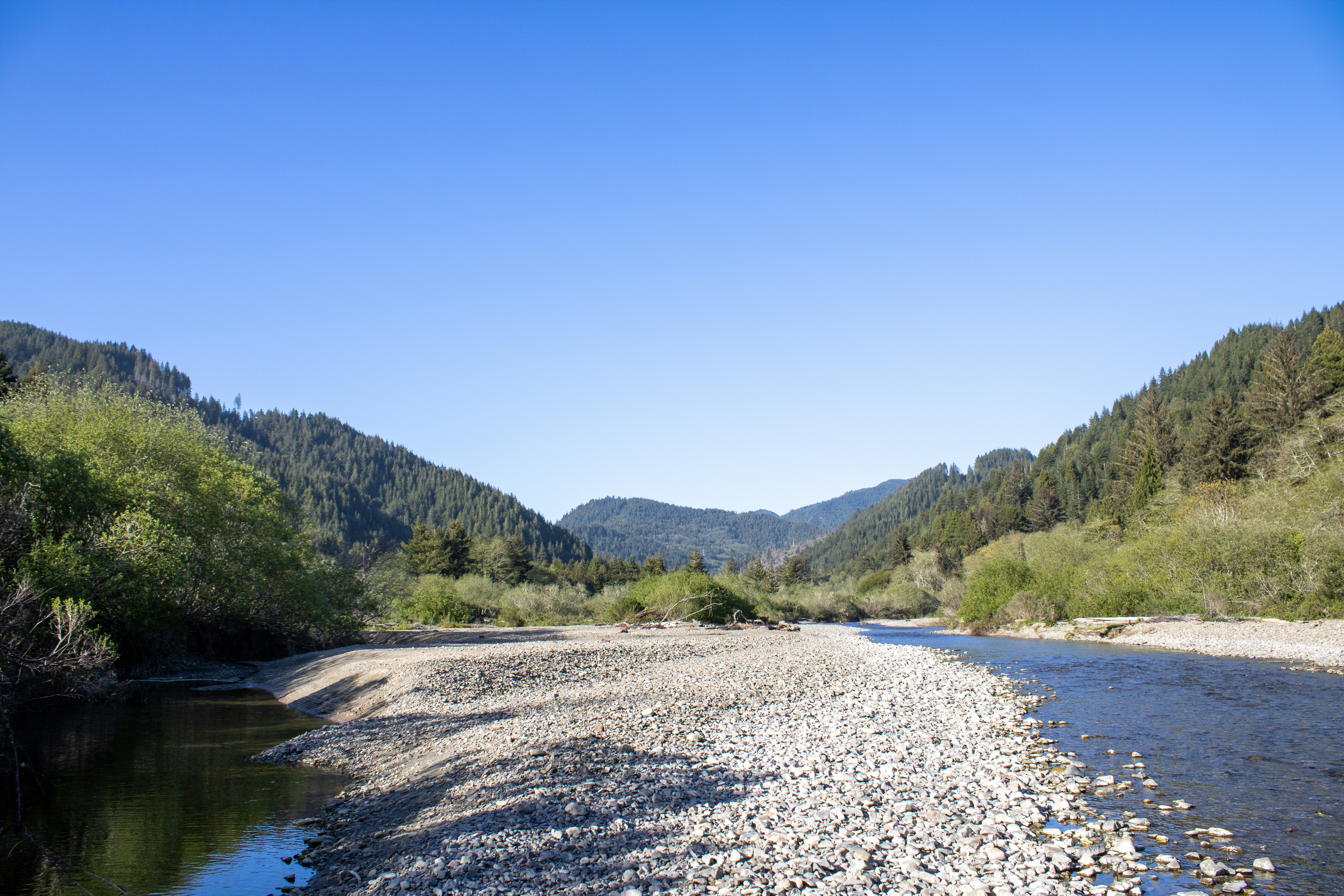 职业财富：分享做生意的八字格局分析逻辑【附八字案例分析】
