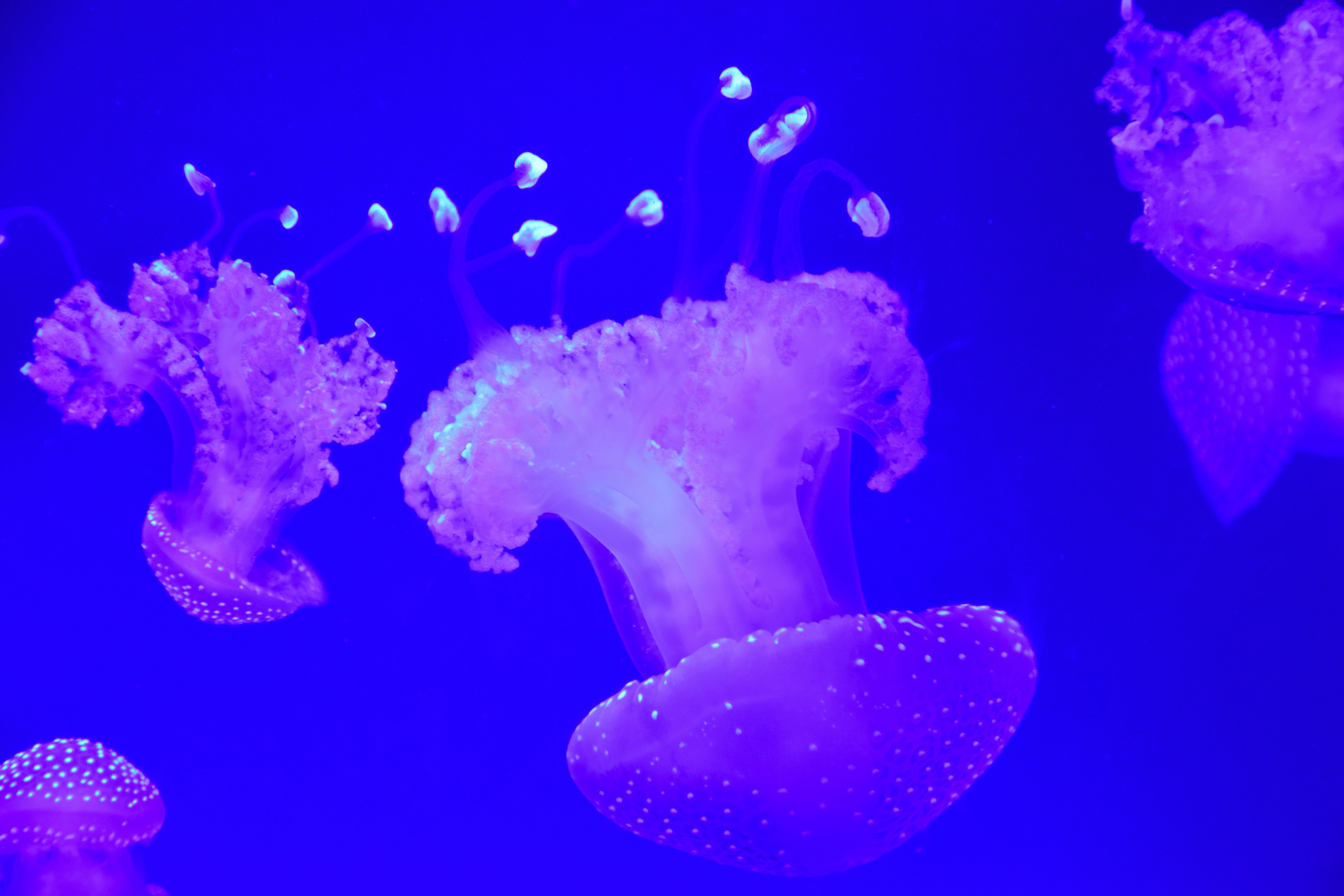 Photo by stamatina_kiriazou