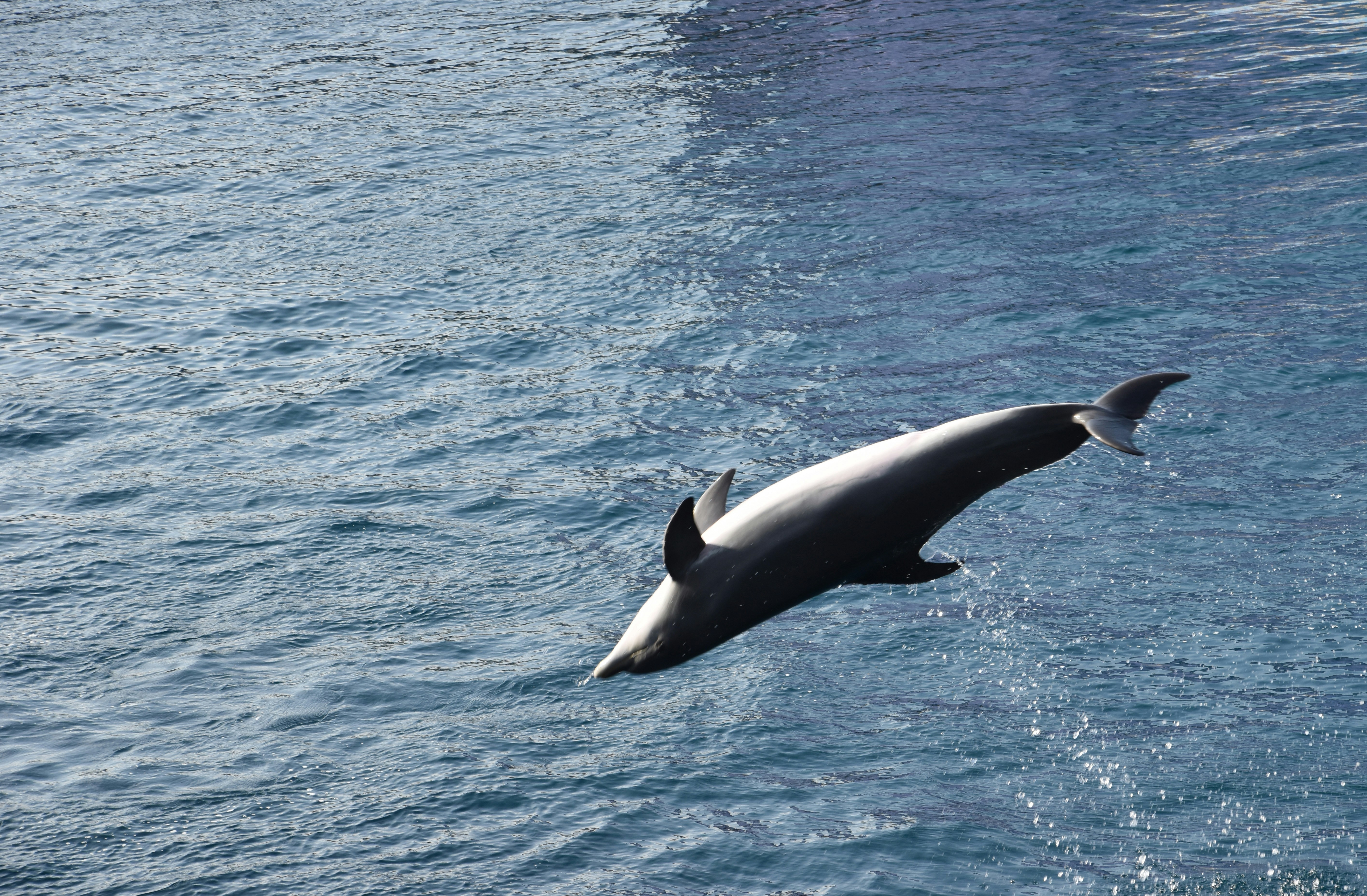 Photo by stamatina_kiriazou