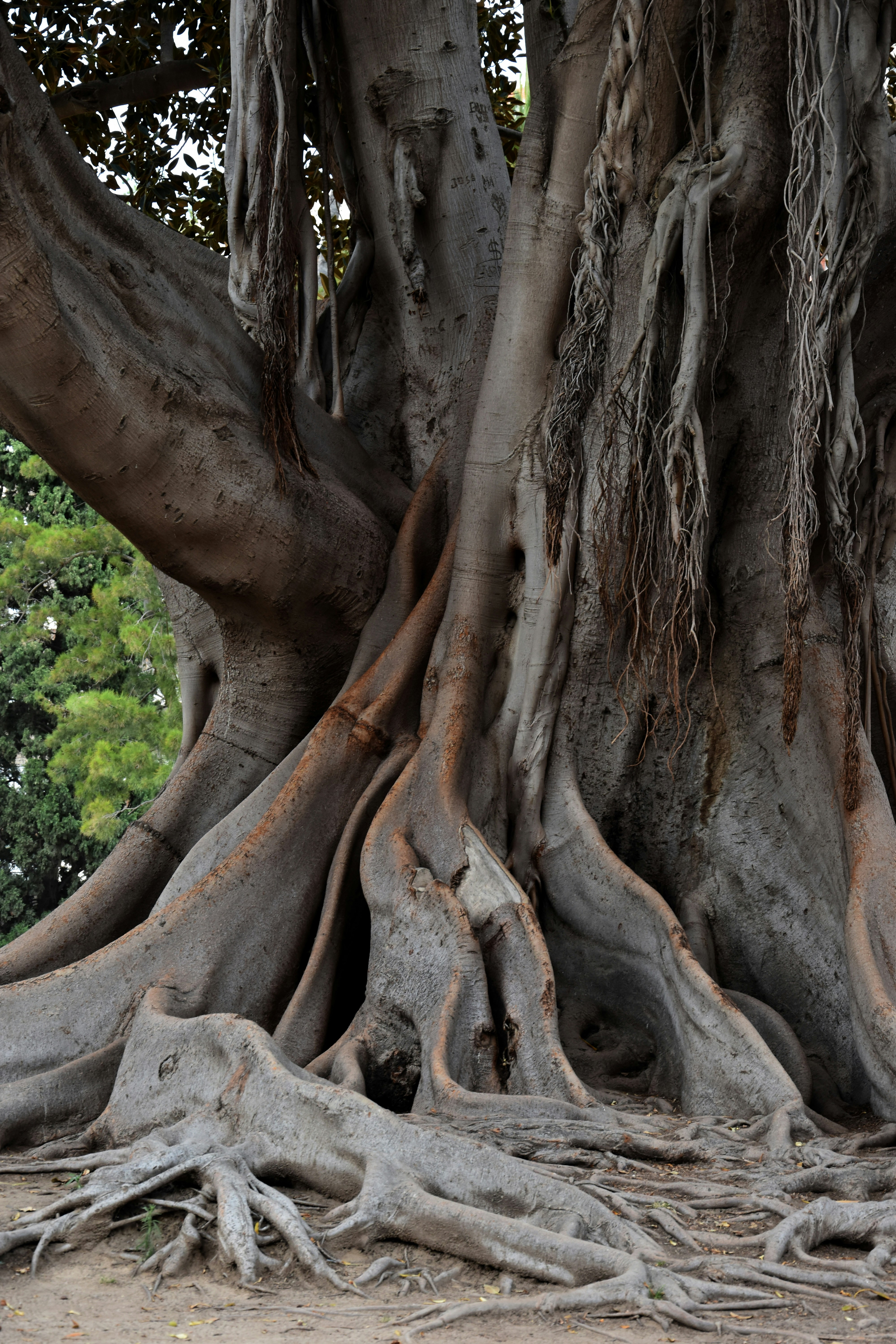 Photo by stamatina_kiriazou