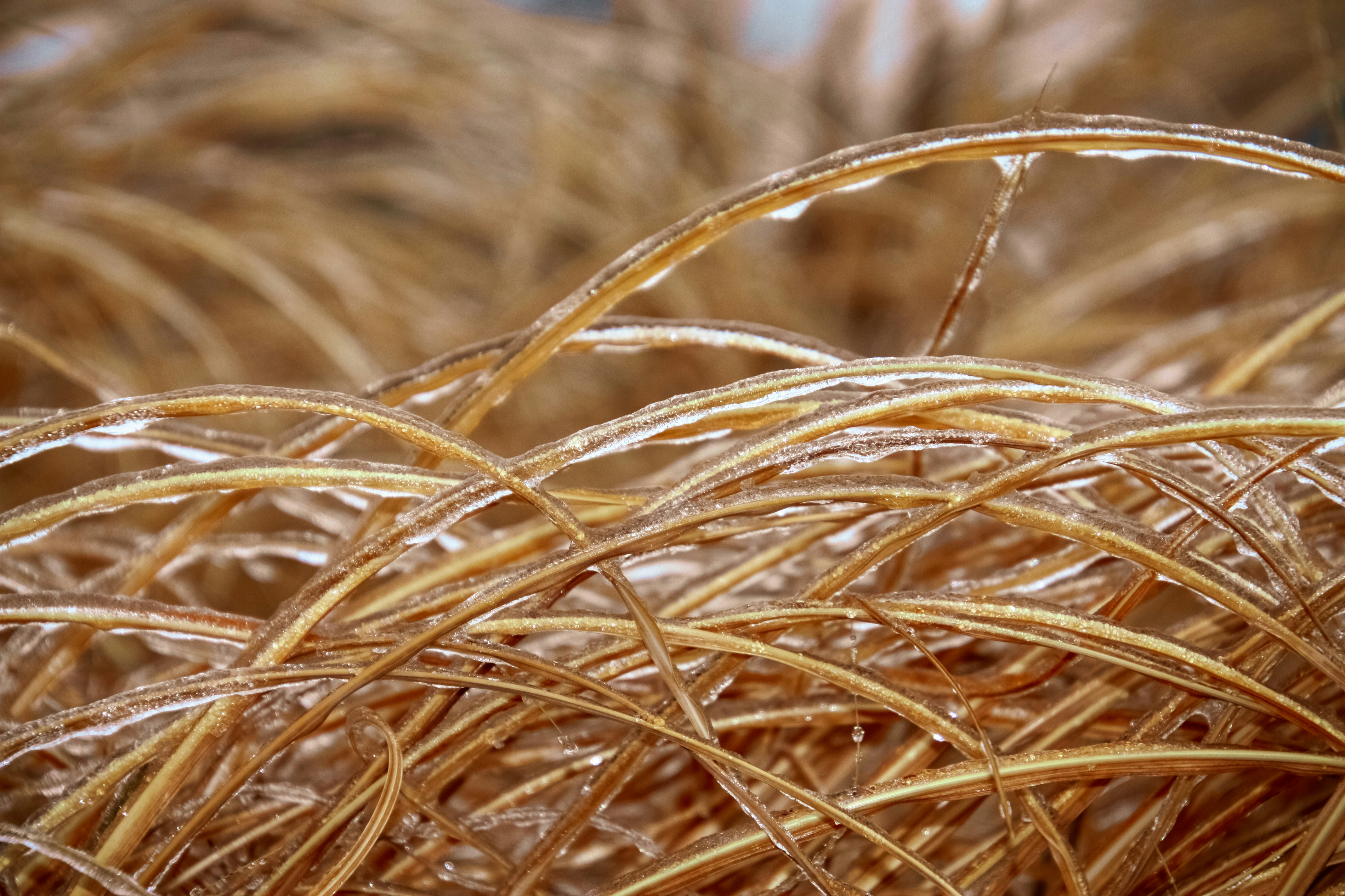 Photo by anthonyaird