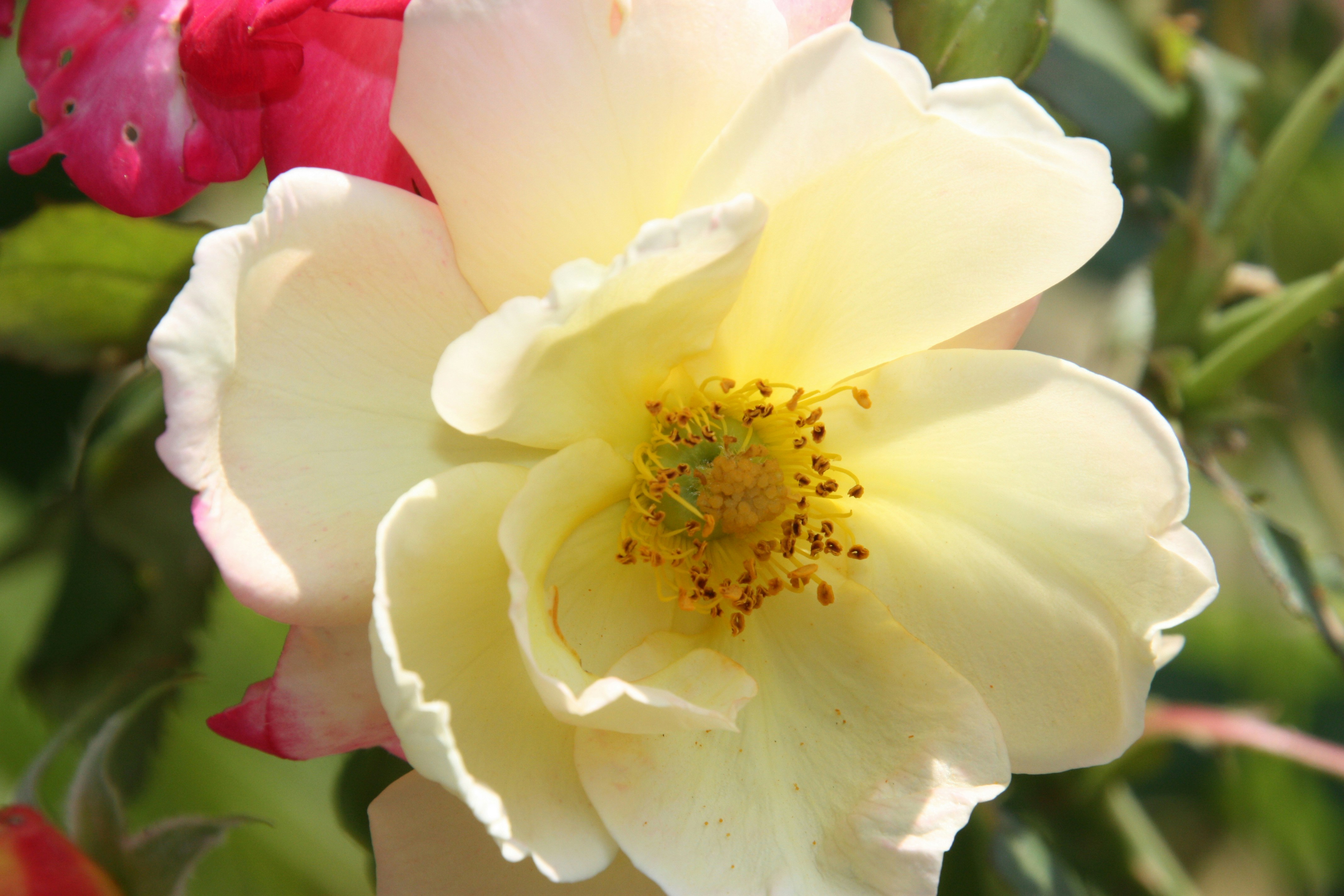 Photo by anthonyaird