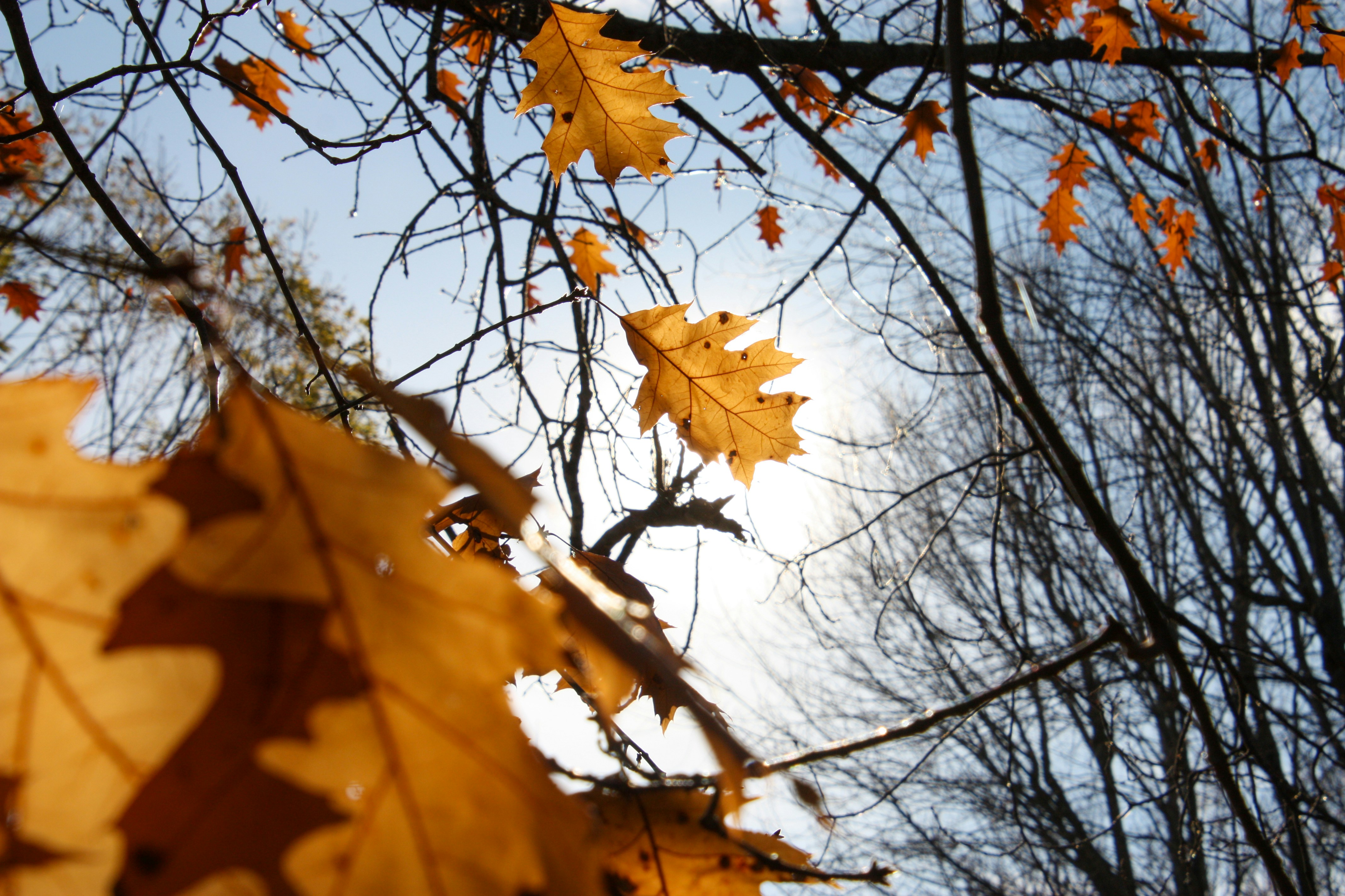 Photo by anthonyaird