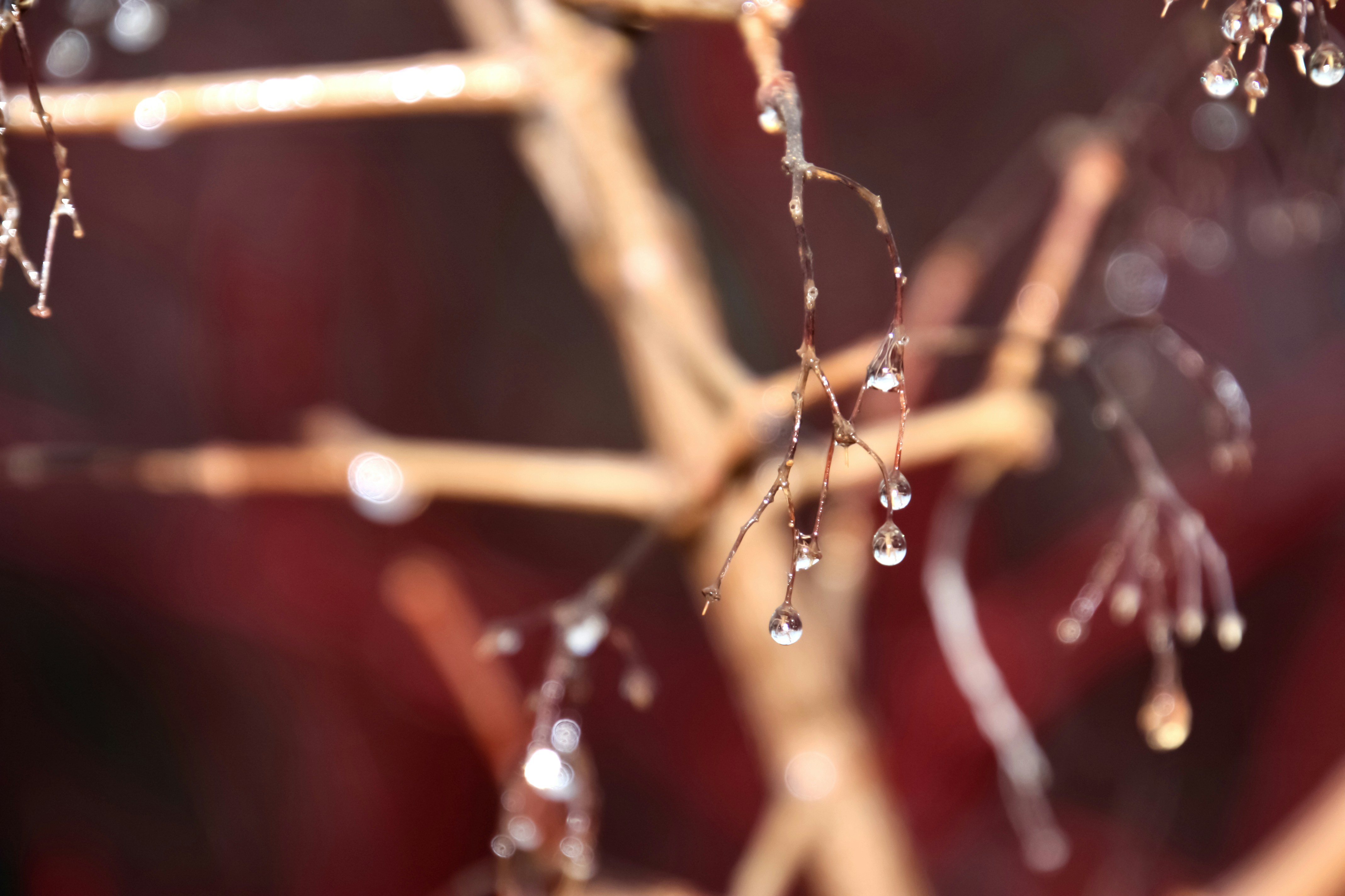 Photo by anthonyaird