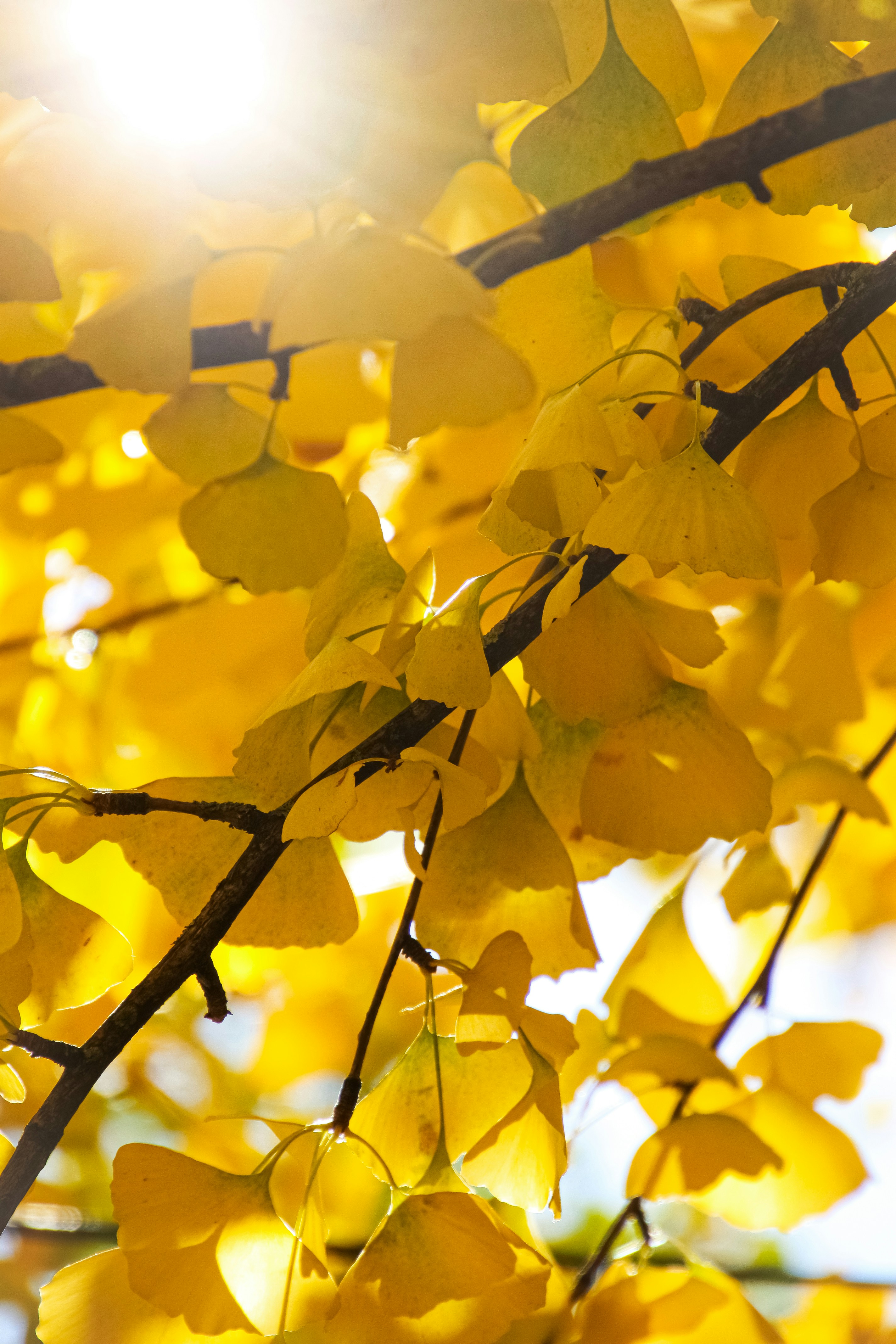 Photo by anthonyaird