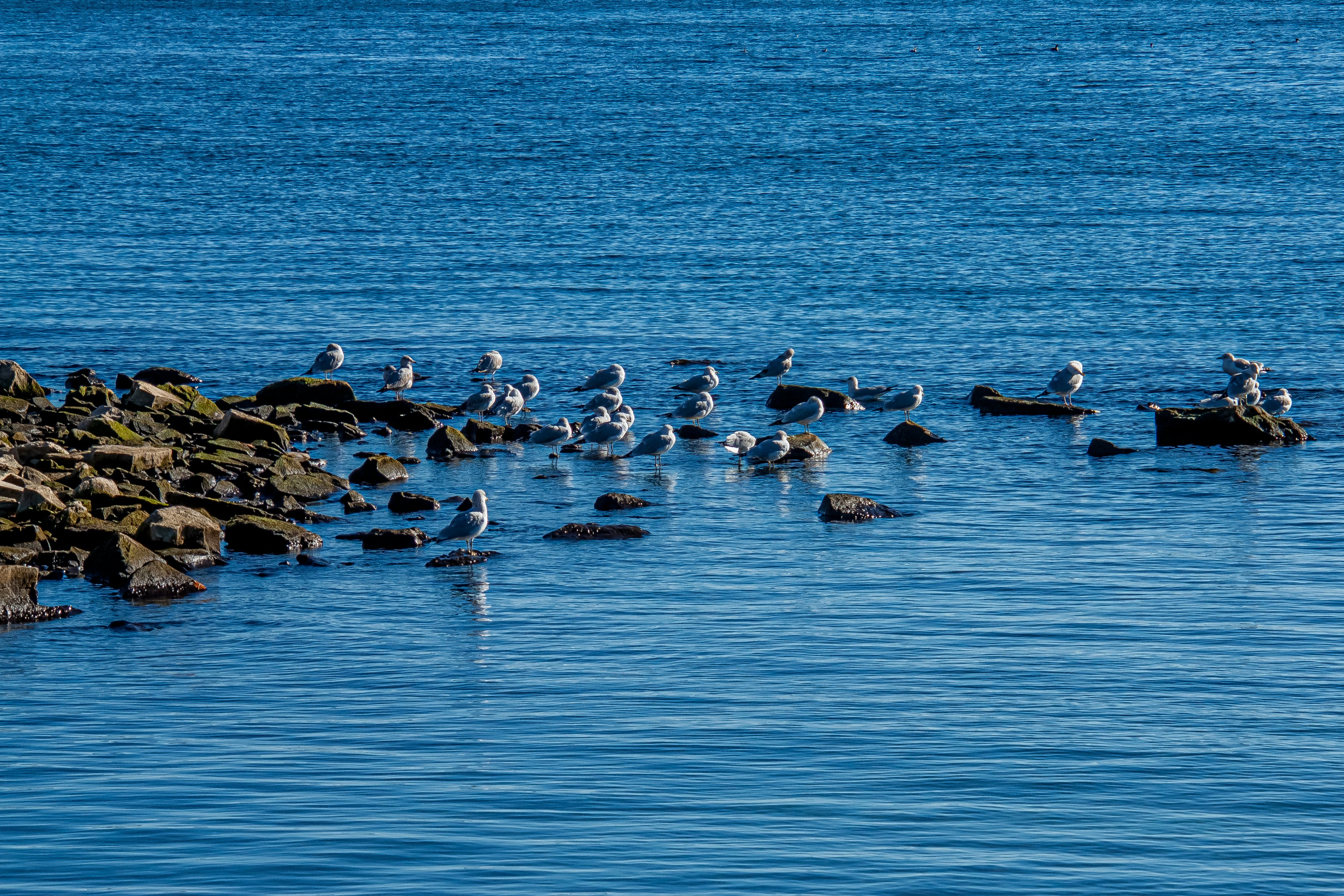 Photo by anthonyaird