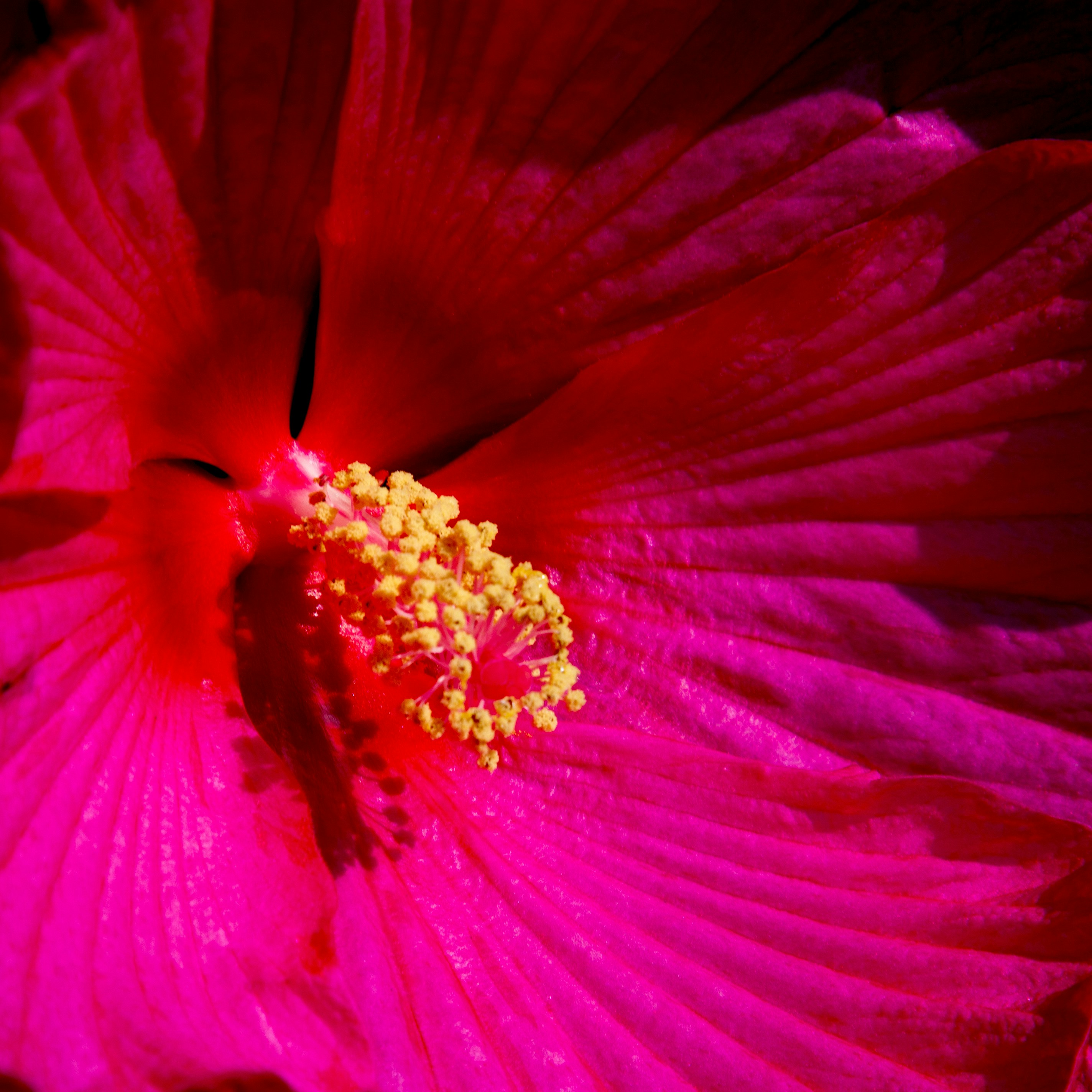 Photo by anthonyaird