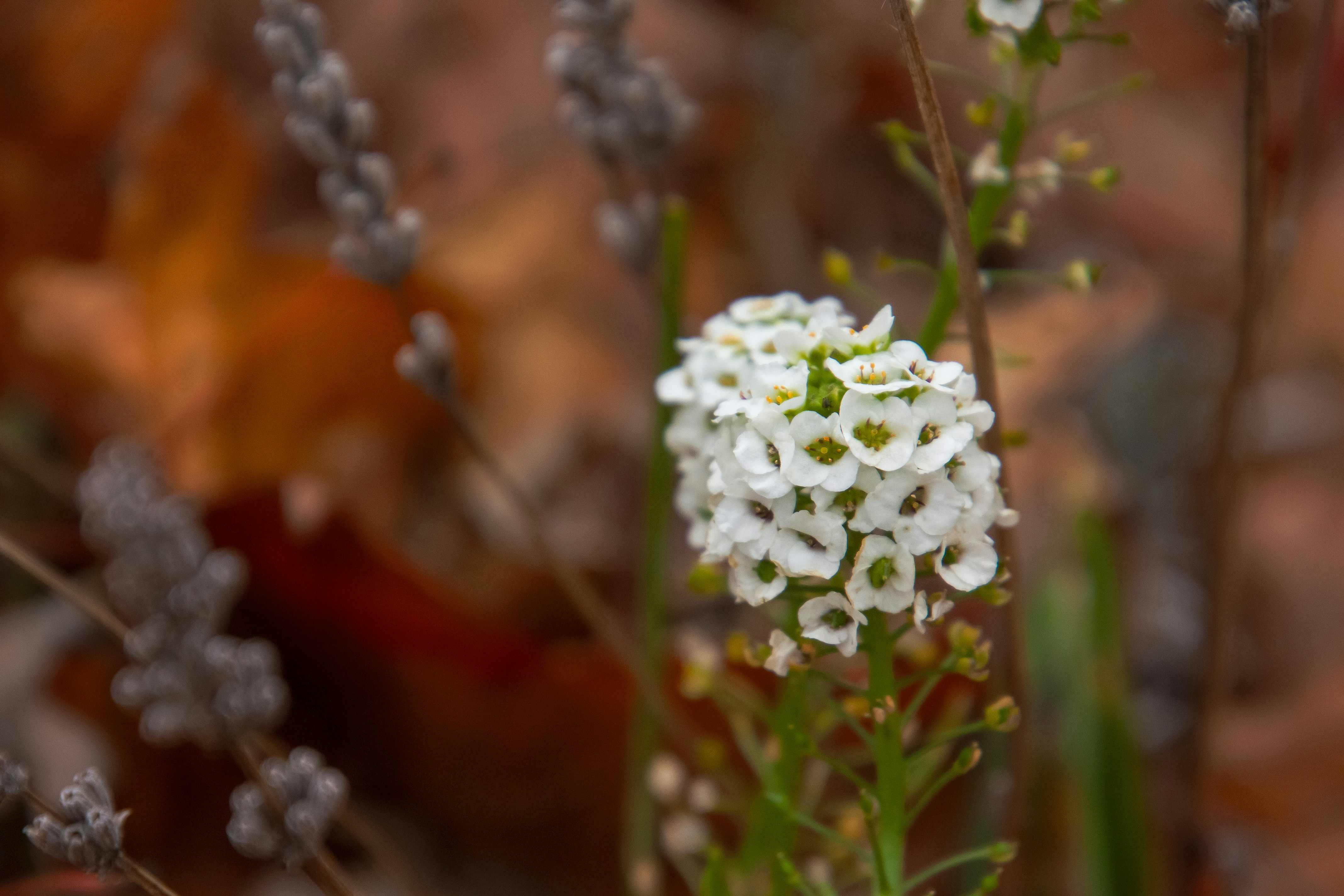 Photo by anthonyaird