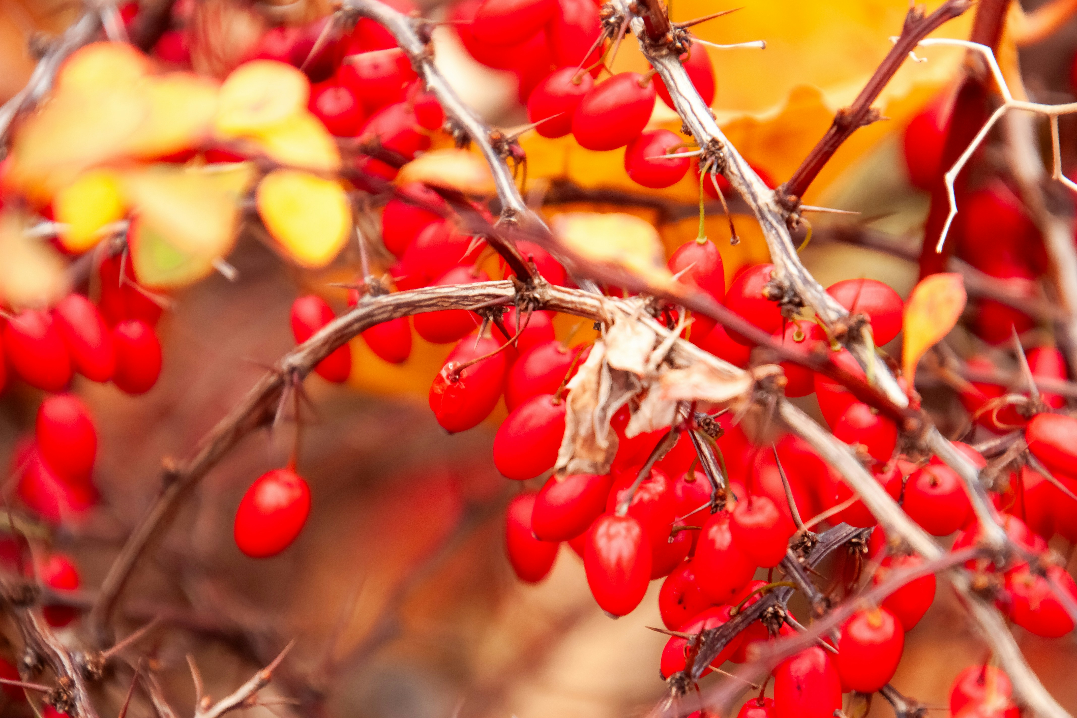 Photo by anthonyaird