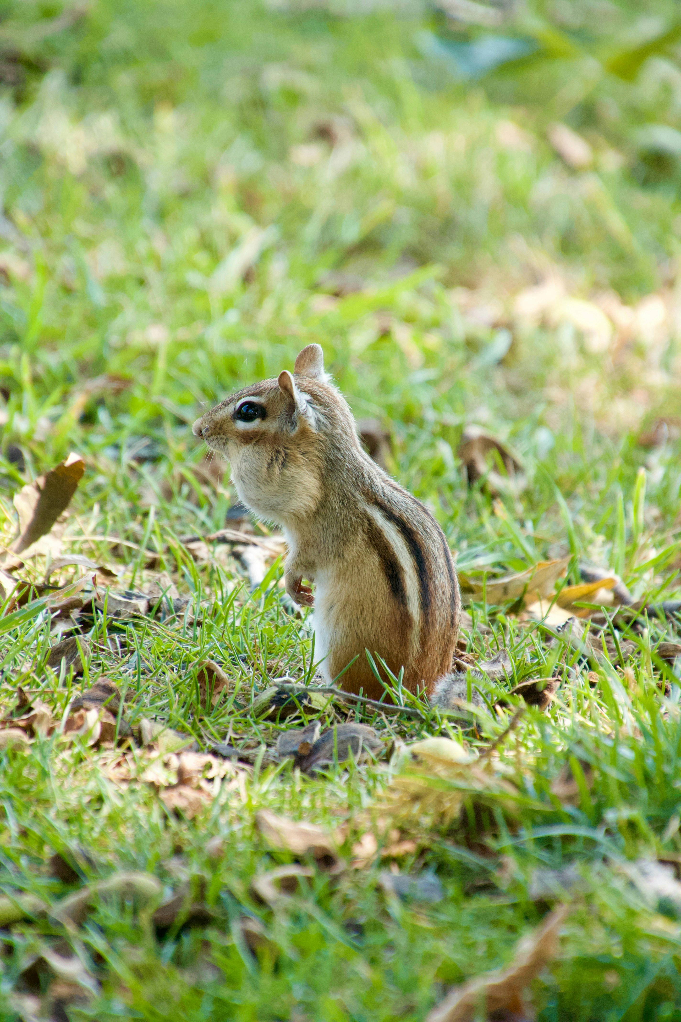 Photo by anthonyaird