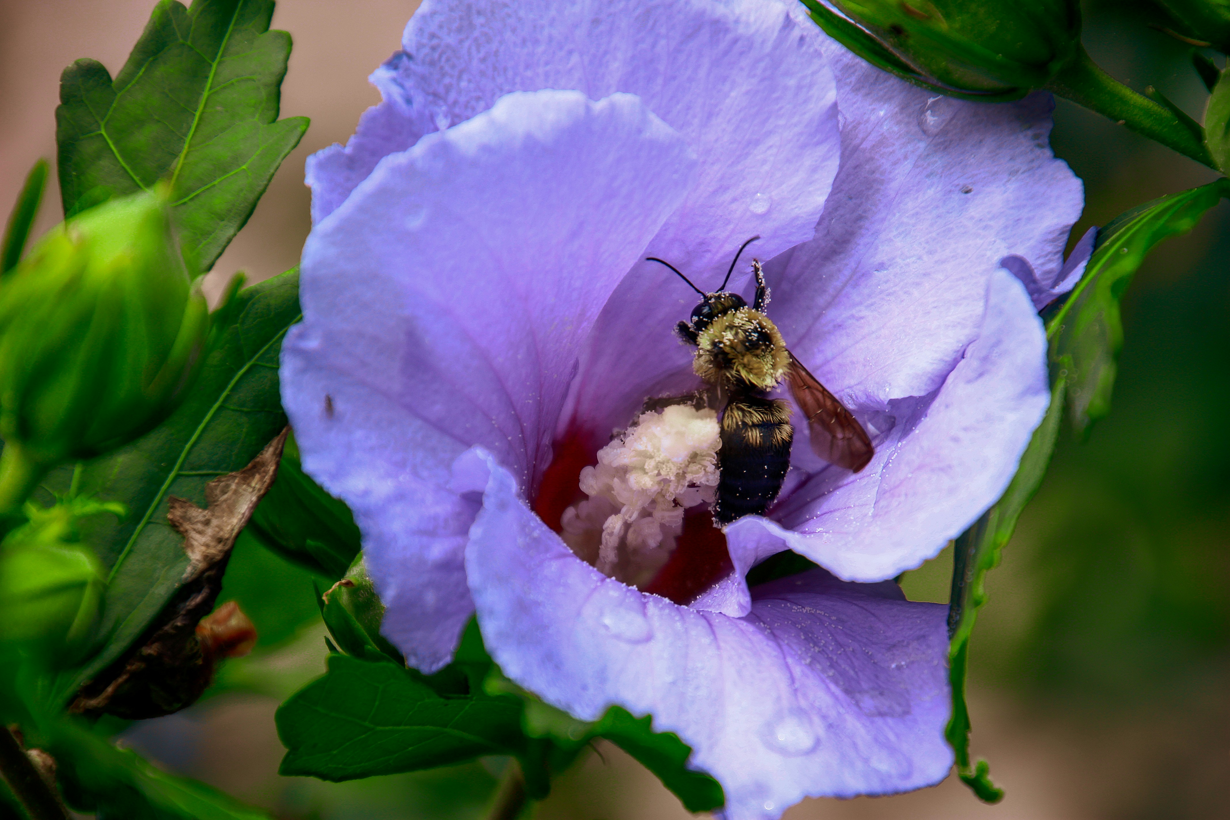 Photo by anthonyaird