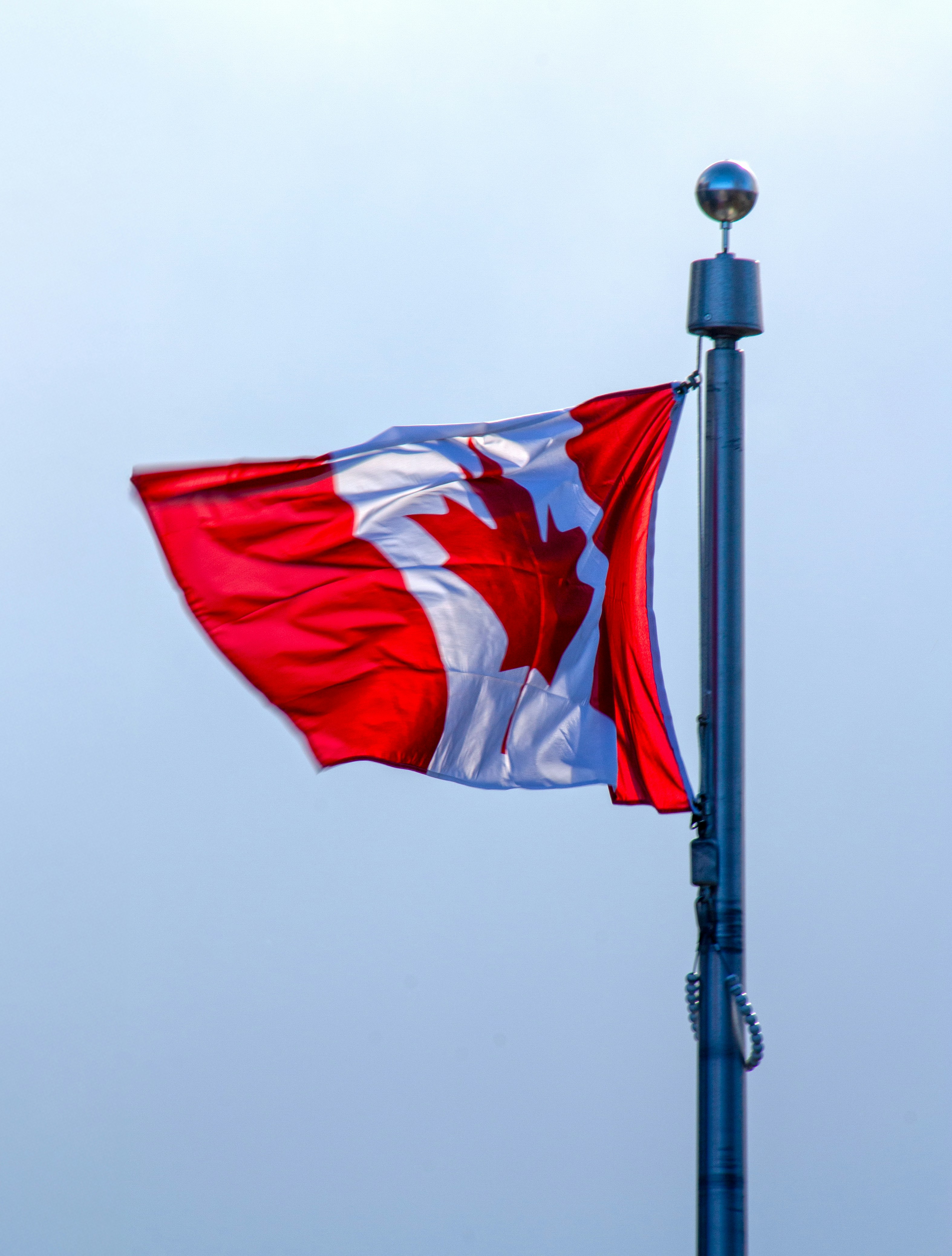Canadian flag with provincial symbols