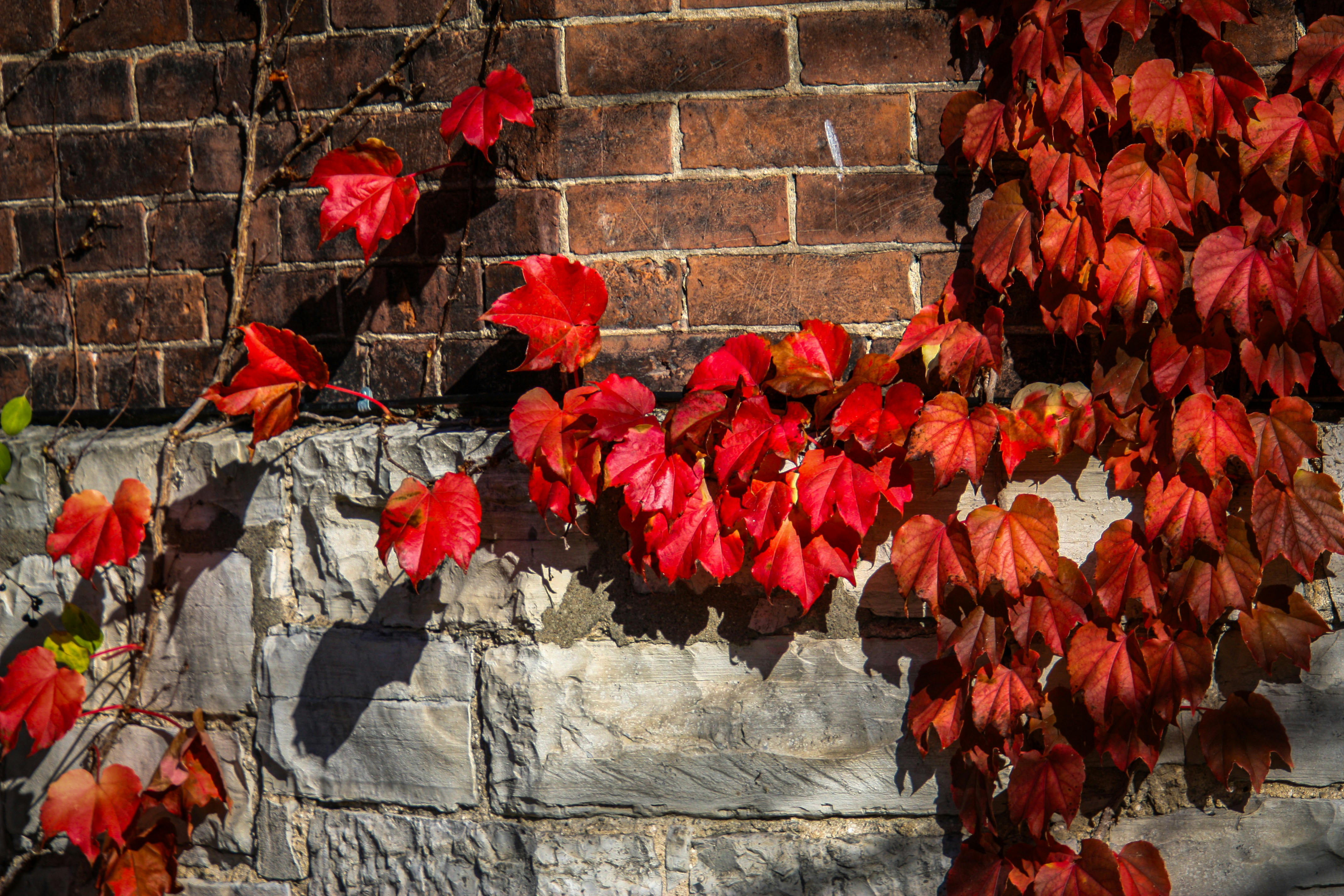 Photo by anthonyaird