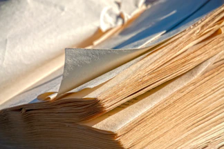 Pile of old, slightly yellowed papers.