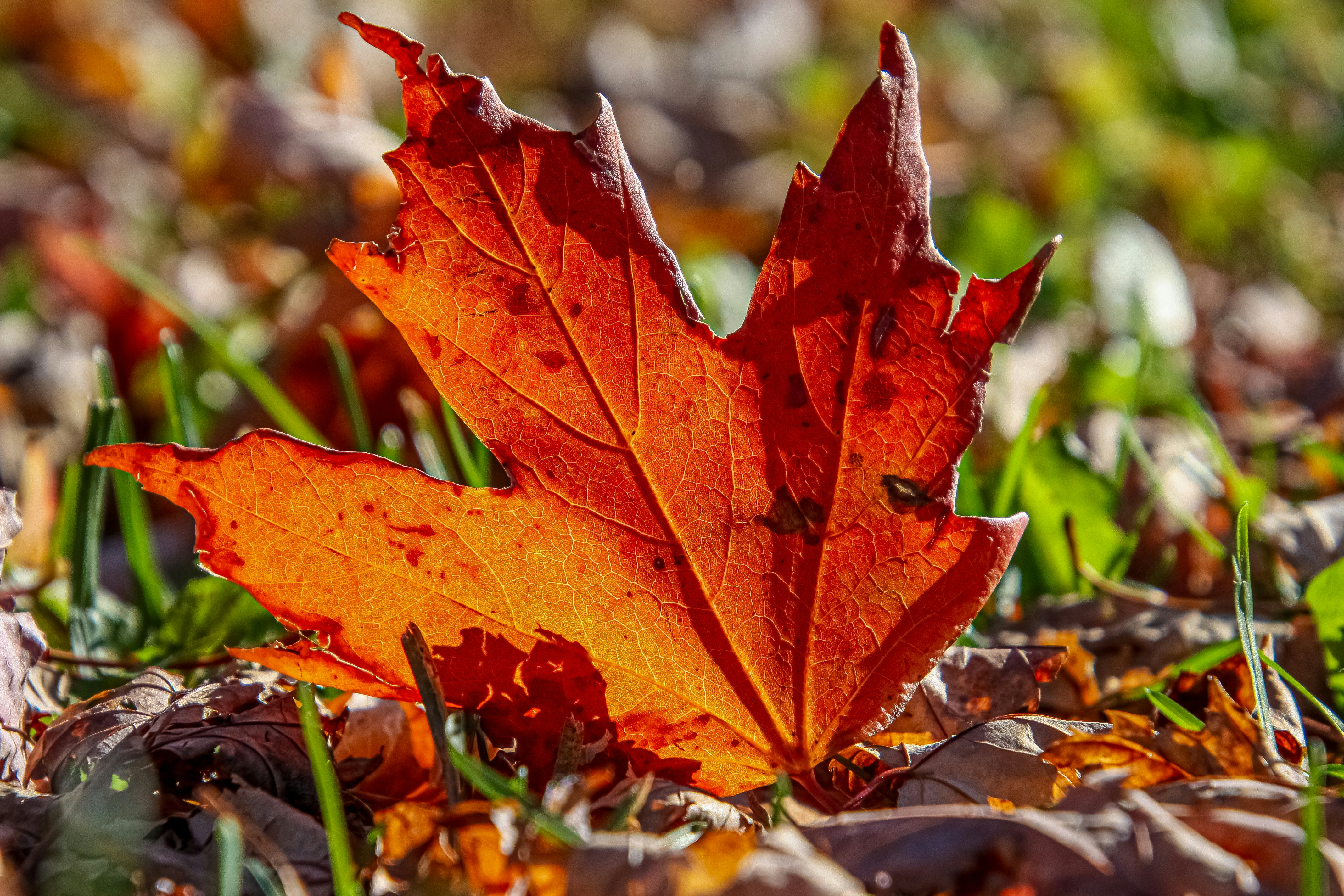 Photo by anthonyaird